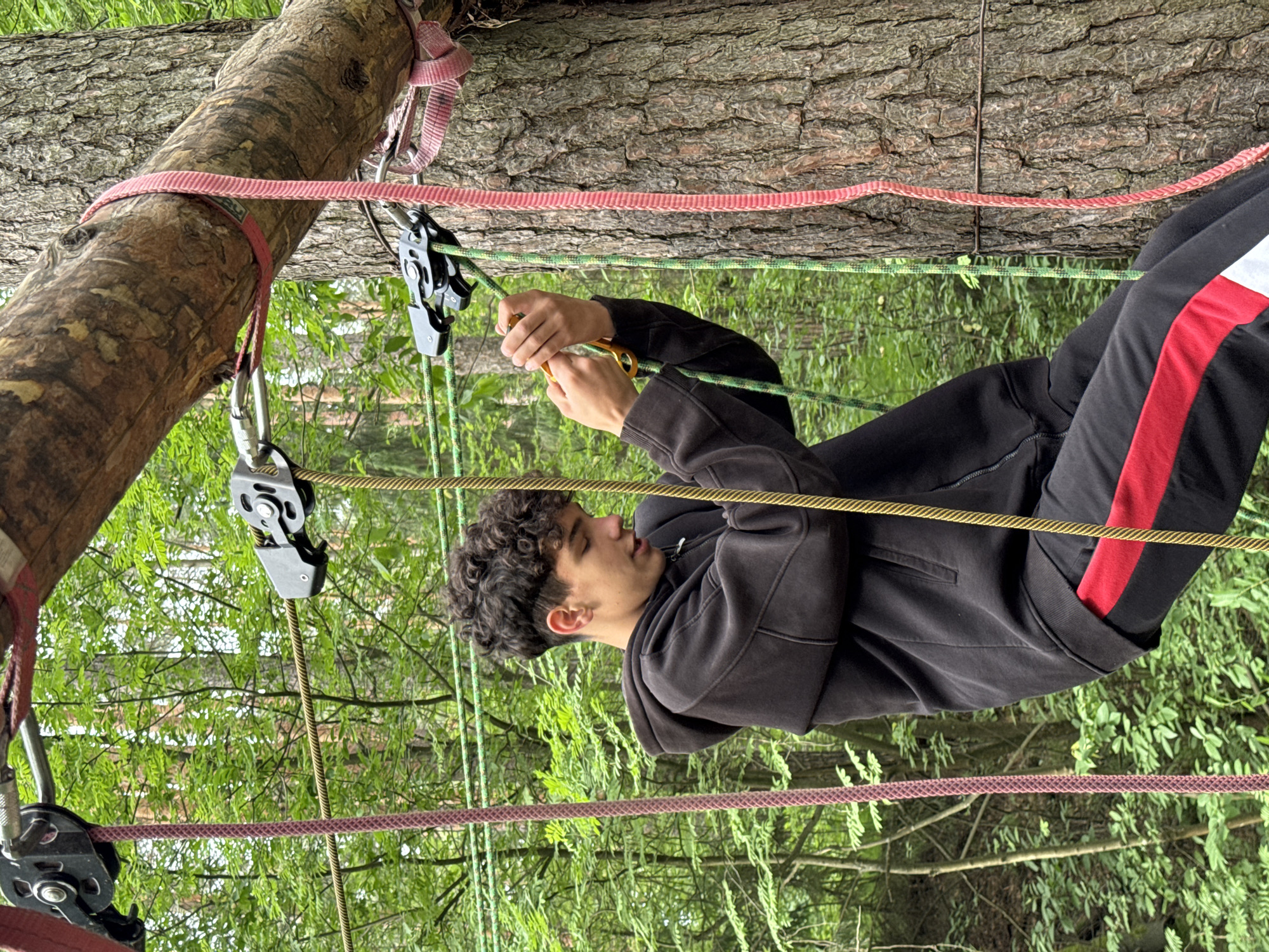 A young male with curly dark hair and a black hooded jacket is engaged in an activity on a ropes course in a forest environment. He is wearing black pants with a red stripe. His hands are holding onto a yellow safety carabiner, and a green rope is passing through a black pulley system attached to a cable. A thick tree trunk is visible on the right, with red and pink ropes secured around it. The background consists of lush green trees and foliage, suggesting an outdoor adventure park or similar recreational area. The image appears to be taken in Chaikovsky, Russia, an area known for its natural beauty and outdoor activities.