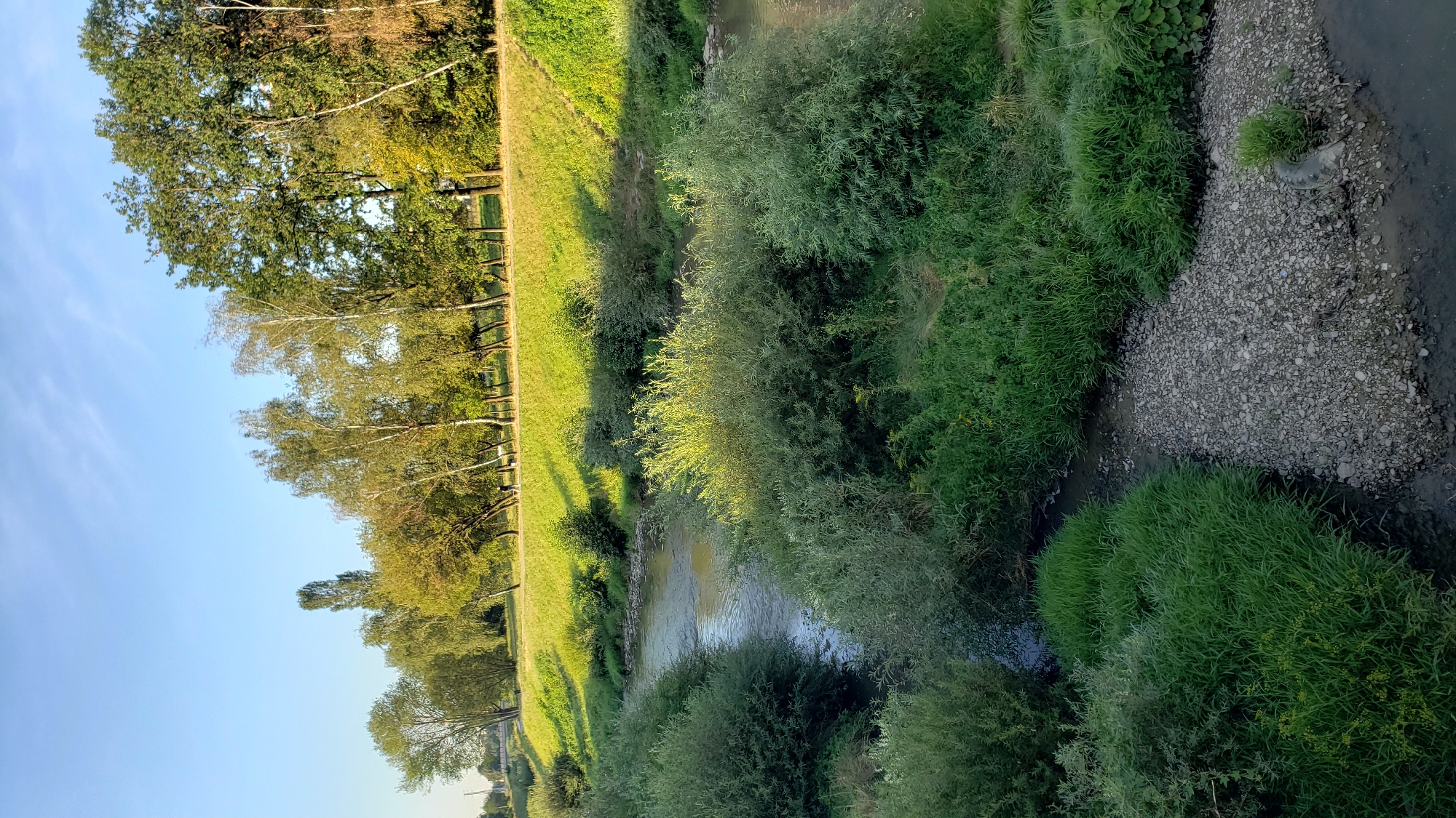The image depicts a natural scene with a river flowing through a landscape of lush greenery. The river is bordered by dense vegetation, including trees and bushes, with a grassy slope rising behind them. The sky above is clear blue, suggesting a pleasant day. In the background, a line of trees forms a backdrop to the scene, and a pathway is visible along the top of the grassy slope. The lighting suggests it is either early morning or late afternoon, with the sun casting long shadows. The overall impression is one of a peaceful and undeveloped natural area.