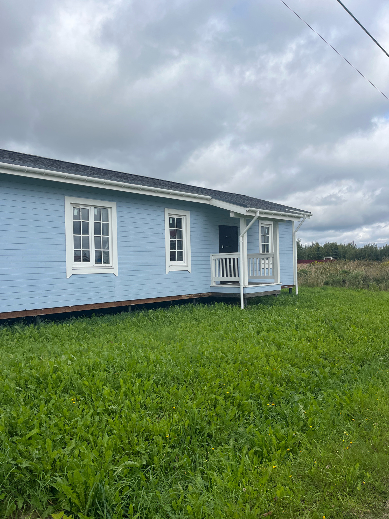 The image depicts a light blue, single-story house situated in Vladimirovka, Russia, on a cloudy day. The house has a dark roof and white trim around the windows and a small porch. Two windows are visible on the left side of the house, and another window is on the porch. The house is surrounded by lush green grass, with some yellow wildflowers scattered throughout. In the background, there is a dense line of trees and tall grass. A power line is visible in the upper right corner of the image. No people are present in the scene.