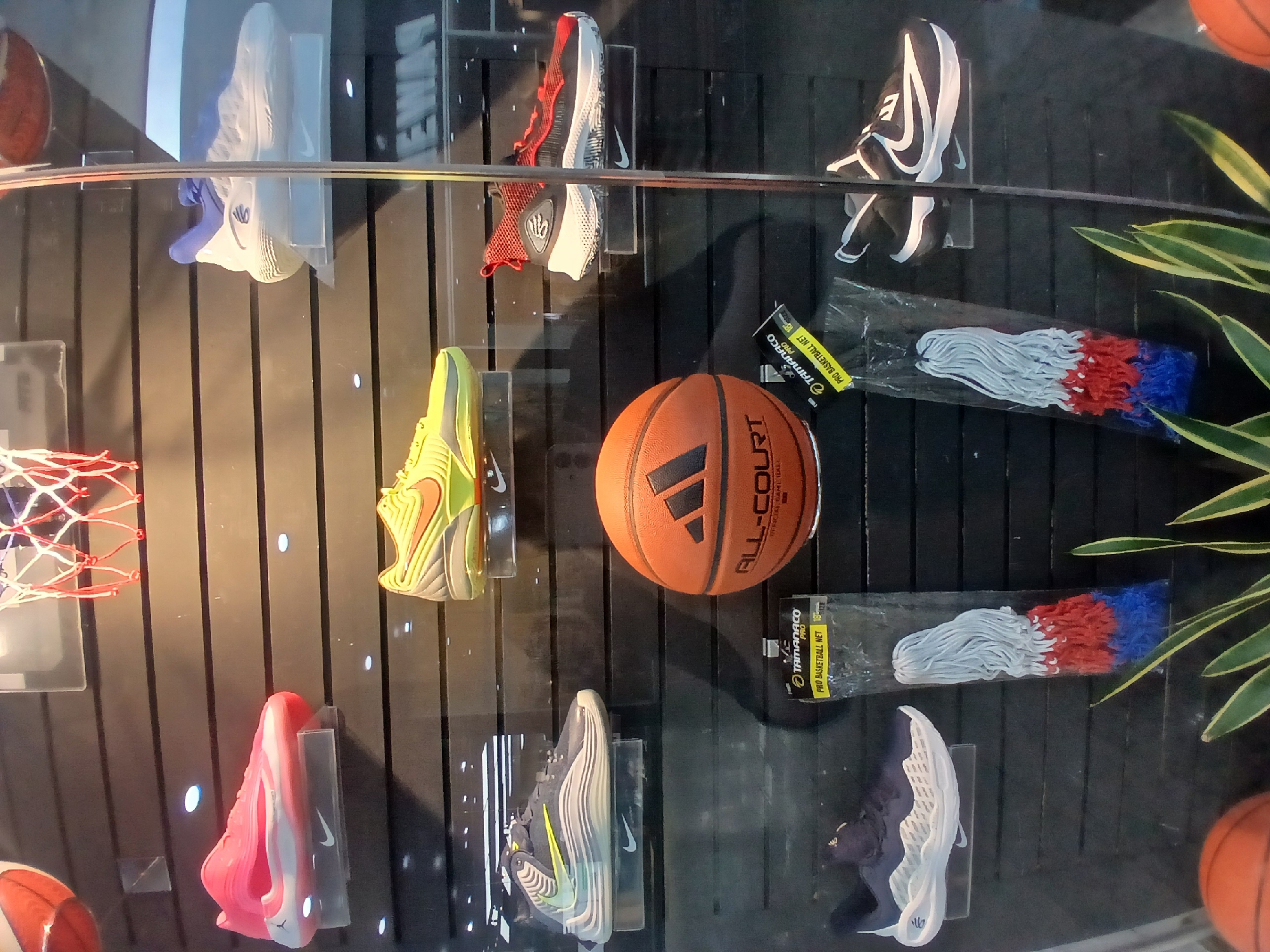 The image shows a display of basketball-related merchandise, likely in a retail setting. There are several pairs of Nike athletic shoes in various colors and designs, positioned on clear stands against a black background with vertical lines. An orange basketball with a black logo and "ALL-COURT" printed on it is centrally located. To the right of the basketball are two packages of "TAMANACO PRO" basketball nets, featuring white netting with red and blue accents. Part of a basketball hoop is visible on the left side, along with other basketballs on the edges of the frame. The presence of the Tamonaco product suggests the location is likely Guayana City, Venezuela.