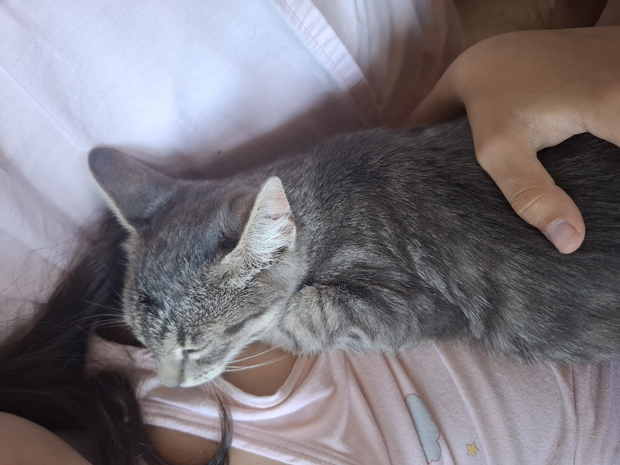 In Dubăsarii Vechi, Moldova, a grey tabby cat is asleep, held close by a person. The cat is nestled against the person's chest, its head tilted back with its eyes closed. The person's arm is wrapped around the cat, their hand gently supporting its body. The person is wearing a pink tank top with a cloud and star pattern. The background consists of soft, pink fabric, possibly a blanket or bedsheet. The overall scene suggests a moment of comfort and closeness between the person and the cat.