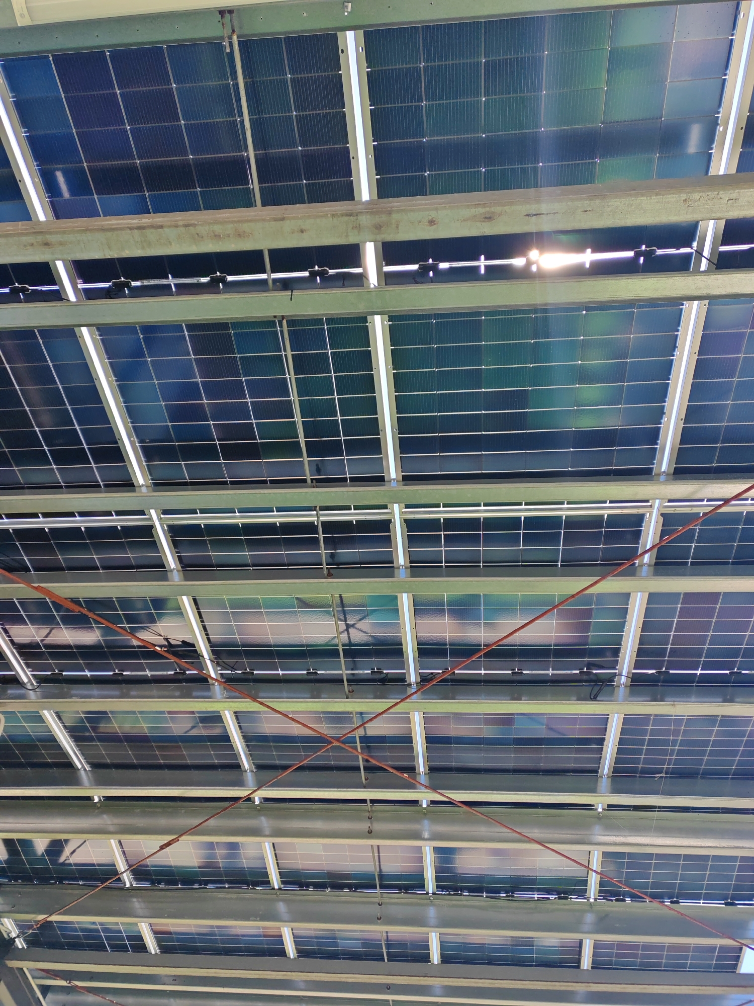 An underside view of an array of solar panels is captured from a low angle, looking upwards. The panels are mounted on a metal framework of horizontal beams and vertical supports. Two prominent horizontal beams run across the frame, with additional support structures visible between them. The solar panels themselves are arranged in rows and columns, displaying a grid pattern. Some panels are a deep blue, reflecting the sky, while others show a greenish hue.
Sunlight is directly visible in the upper central portion of the image, creating a bright glare and lens flare that highlights the reflective surfaces of the panels. Several thin, reddish-brown wires are strung diagonally across the frame, intersecting each other. These wires appear to be part of the solar installation's electrical system. The overall environment suggests an outdoor setting, possibly a rooftop or an overhead structure, typical of solar power generation facilities. The image is a still, clear shot with no people or animals present.