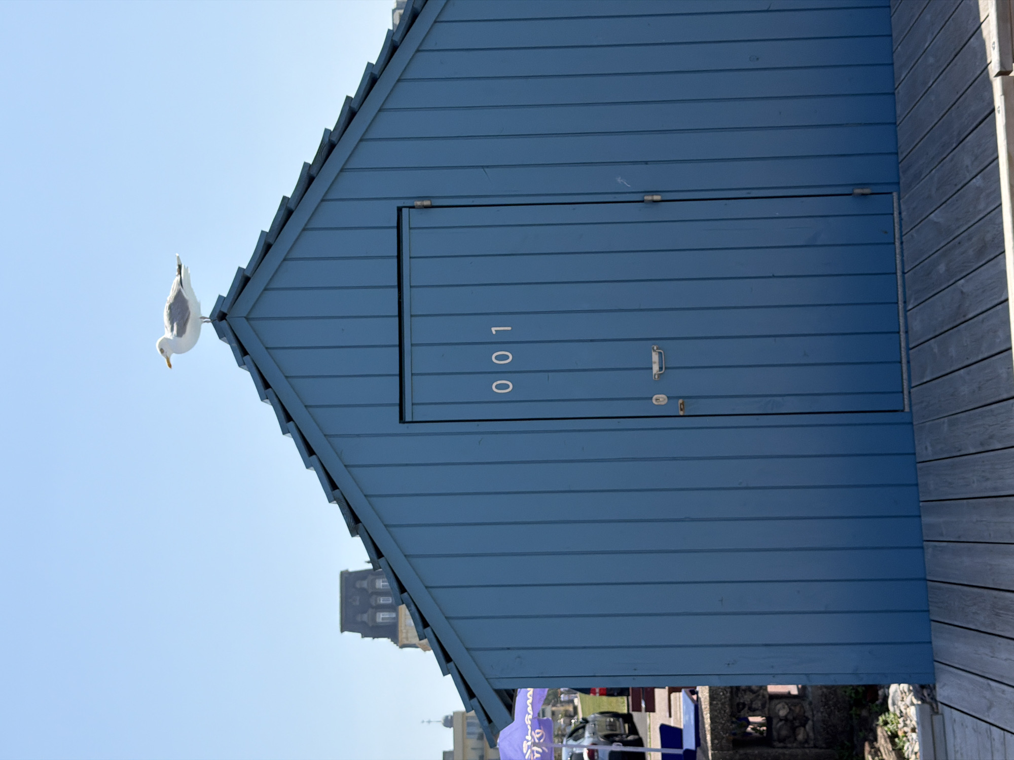 A seagull stands on the peak of a blue wooden beach hut, its wings slightly raised. The beach hut has a single door with a handle and hinges, and the number "001" is visible on the door. To the right of the hut is a wooden walkway or deck made of weathered planks. In the background, a hazy, multi-story building with a distinct architectural style is visible against a clear blue sky. Below the beach hut, glimpses of other structures and possibly parked cars can be seen, along with a purple banner with some text, suggesting a public area or event. The lighting indicates it is daytime, likely sunny. The scene is situated in Dieppe, France, and the overall impression is one of a peaceful seaside or coastal environment.