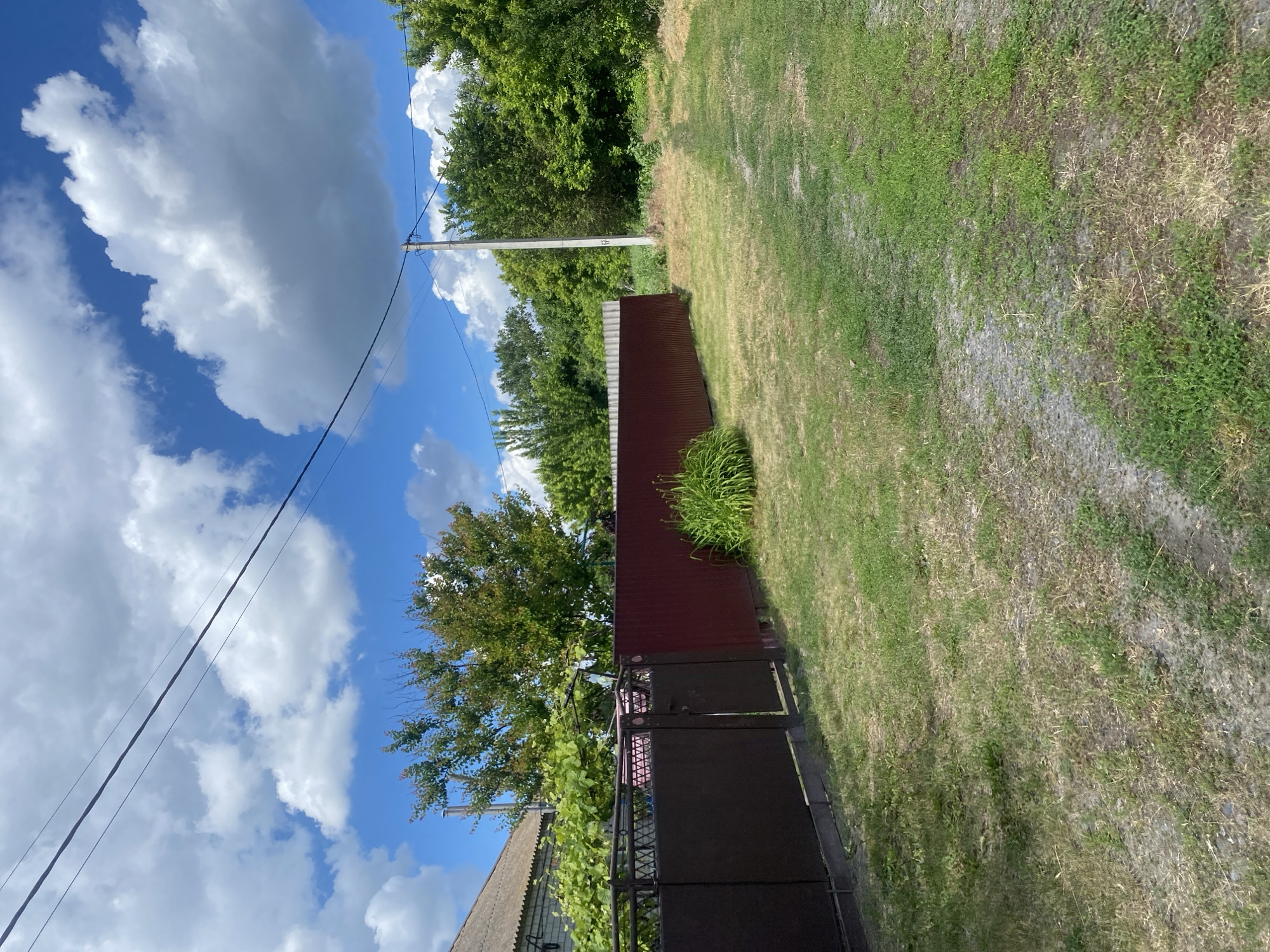 The image depicts an outdoor scene, likely in a rural or suburban area, with elements suggesting a property boundary. On the left, a dark brown metal gate is visible, adjacent to a section of light grey siding, possibly part of a building. This gate is partially obscured by dense green foliage, including what appears to be a grapevine.
Beyond the gate and foliage, a dark reddish-brown corrugated metal fence extends horizontally across the middle ground. A clump of tall, green grass or reeds grows in front of this fence. To the right of the fence, the terrain slopes slightly upwards and is covered in dry, yellowish-green grass with some patches of bare earth and gravel. A single grey utility pole stands vertically in the middle ground to the right of the fence.
The background consists of lush green trees, forming a dense line of foliage. The sky above is a vibrant blue, punctuated by large, fluffy white clouds. Power lines are strung across the upper portion of the image, originating from the utility pole. The overall impression is one of a sunny day in a natural setting, with a clear demarcation of property.