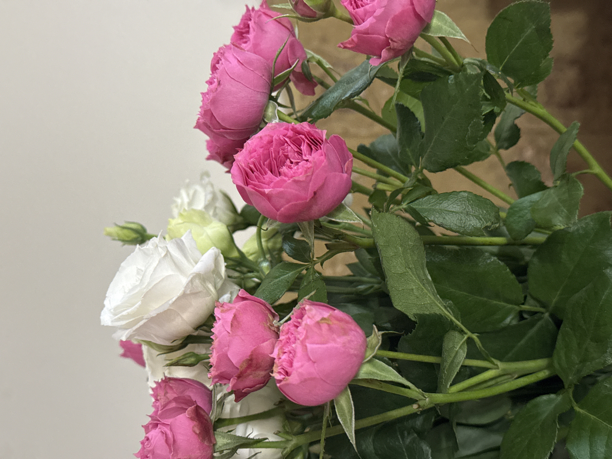 A close-up shot displays a bouquet of pink and white roses. The pink roses are mostly in bud form with some fully open blossoms, exhibiting a deep pink color and intricate petal arrangements. A few white roses are intermixed with the pink, presenting a contrast in color and texture. The roses are surrounded by green leaves and stems. The background is a neutral beige color, possibly a wall or surface. The location is unknown, unknown.