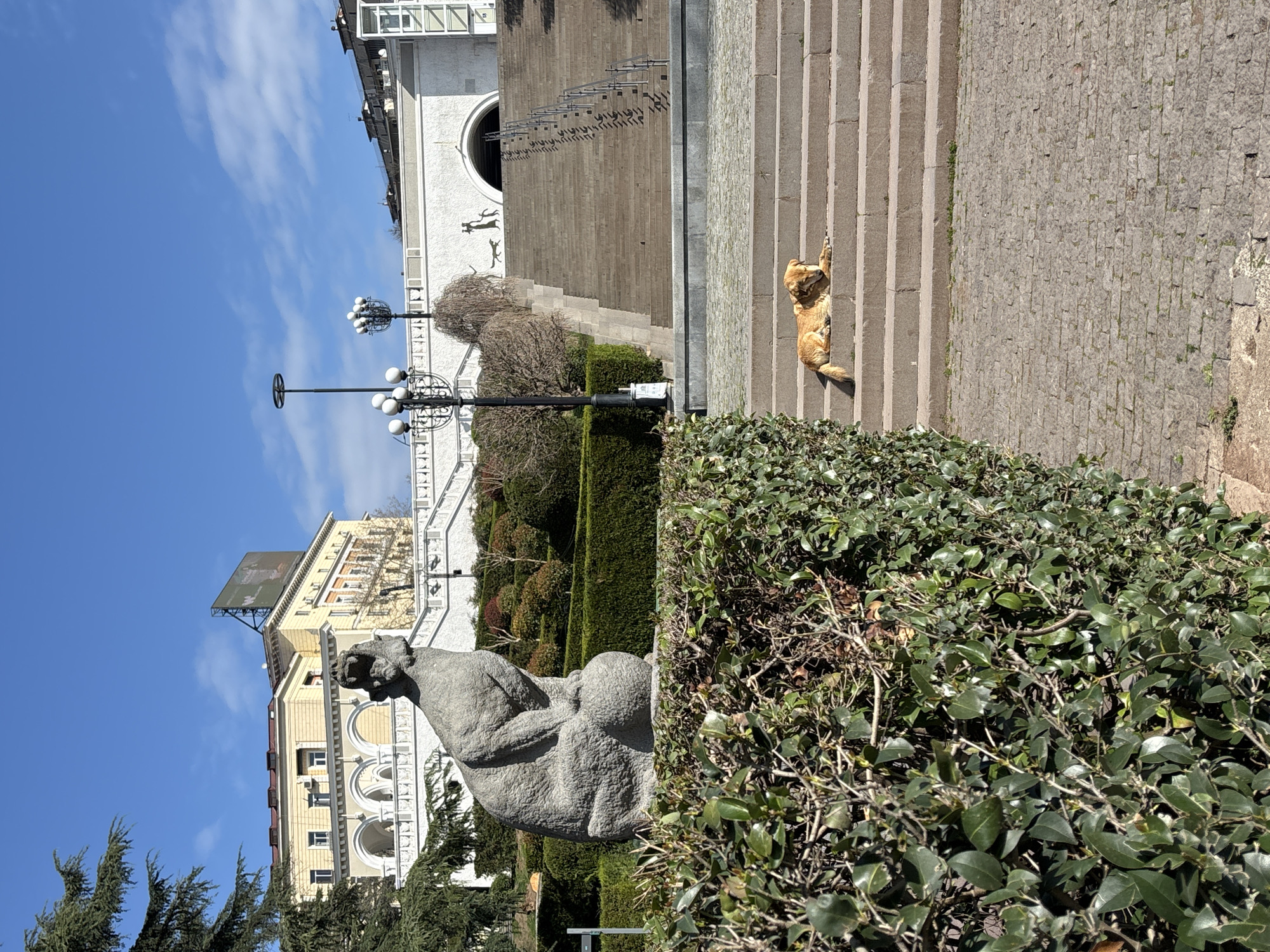 The image shows a scene in Tbilisi, Georgia, during daylight under a partly cloudy sky. An orange-furred dog is lying diagonally across the stone steps leading up to a white building with architectural features including a large circular window and a smaller stairway. In the foreground, a gray stone sculpture of a lion is positioned among trimmed bushes. A streetlight is placed near the sculpture. In the background, a yellow building with arched windows and a billboard on its roof is visible.