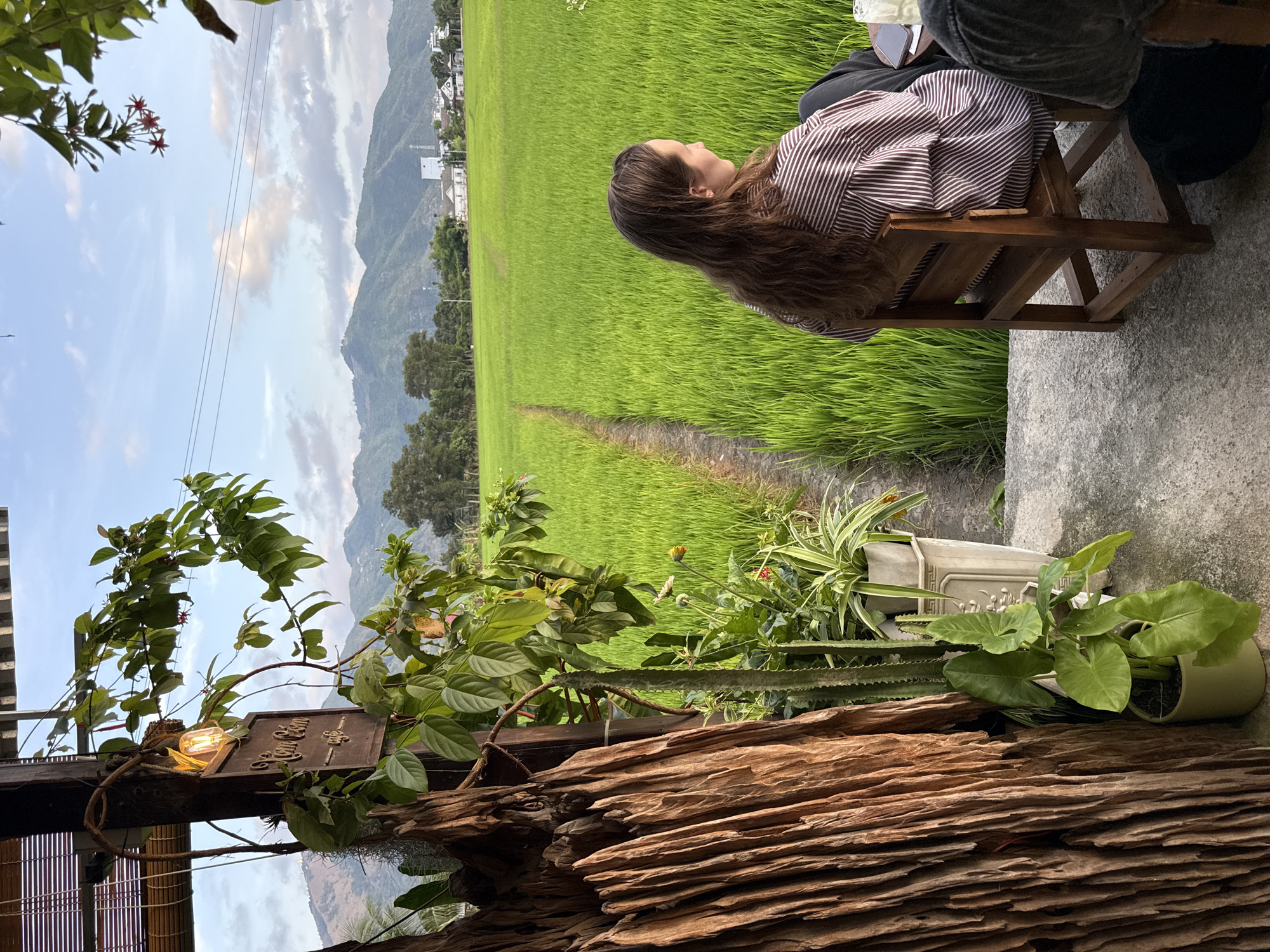 The image captures a serene outdoor scene in Diên Khánh, Vietnam, focusing on a person relaxing amidst nature. A woman with long, wavy brown hair, wearing a brown and white striped shirt, sits facing away from the viewer on a rustic wooden chair. She looks out over a vast, vibrant green rice field that extends into the distance, with a narrow path winding through it. Majestic mountains are visible on the horizon under a soft, cloudy sky, suggesting either late afternoon or early evening.
The setting appears to be a cafe or homestay with a natural, rustic aesthetic. In the foreground and to the left, there are wooden structural elements, including a large piece of weathered driftwood. Various potted plants, such as an elephant ear plant, a spider plant, and a cactus-like succulent, adorn the space, along with flowering vines draped around an overhead beam. An exposed, illuminated vintage light bulb hangs from this beam, next to a carved wooden sign that clearly displays the text "Diên Khánh" in an ornate script, confirming the location.
The overall mood is peaceful and contemplative, with the woman seemingly enjoying the tranquil landscape. The light is diffused, and the sky is partly cloudy, contributing to a calm ambiance.