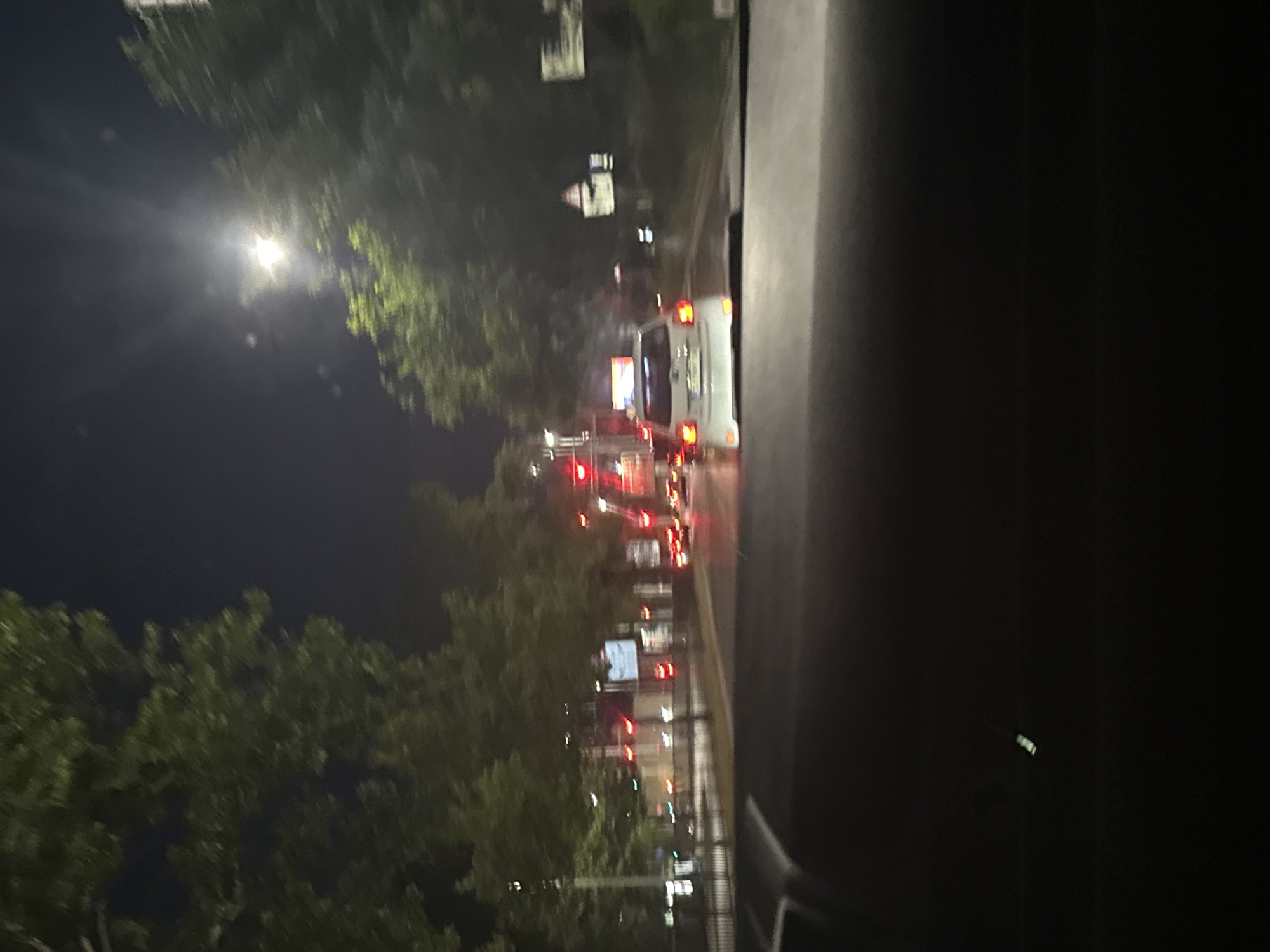 A car-mounted, blurry, night-time view of a street in Plovdiv, Bulgaria, is captured. Trees line the road, illuminated by streetlights and traffic signals. The scene depicts a white car in the middle lane of a multi-lane road, with other vehicles and traffic lights visible in the distance. The perspective suggests the photo was taken from inside another moving vehicle.