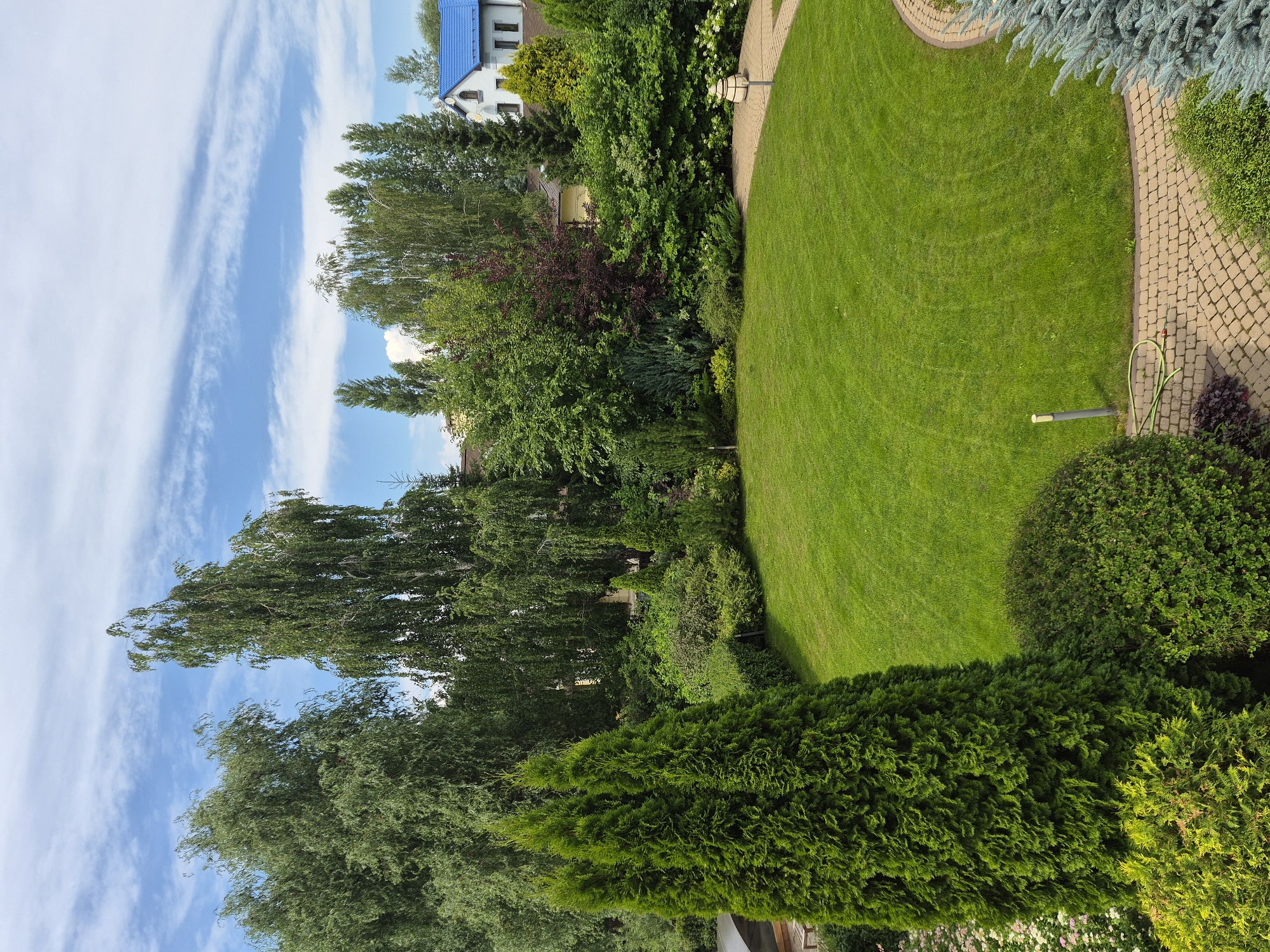 A well-maintained garden in Vlast Truda, Russia, is pictured on a sunny day with scattered white clouds against a blue sky. The scene features a vibrant green lawn, bordered by a paved walkway made of interlocking bricks. Lush trees and shrubs of various species and shades of green surround the lawn, with a prominent tall evergreen tree in the foreground on the left. In the background, houses with bright blue roofs and beige walls are visible amidst the foliage. A garden lamp stands near the walkway, and a green hose is coiled on the ground next to a small post. The overall impression is one of a serene and manicured outdoor space.