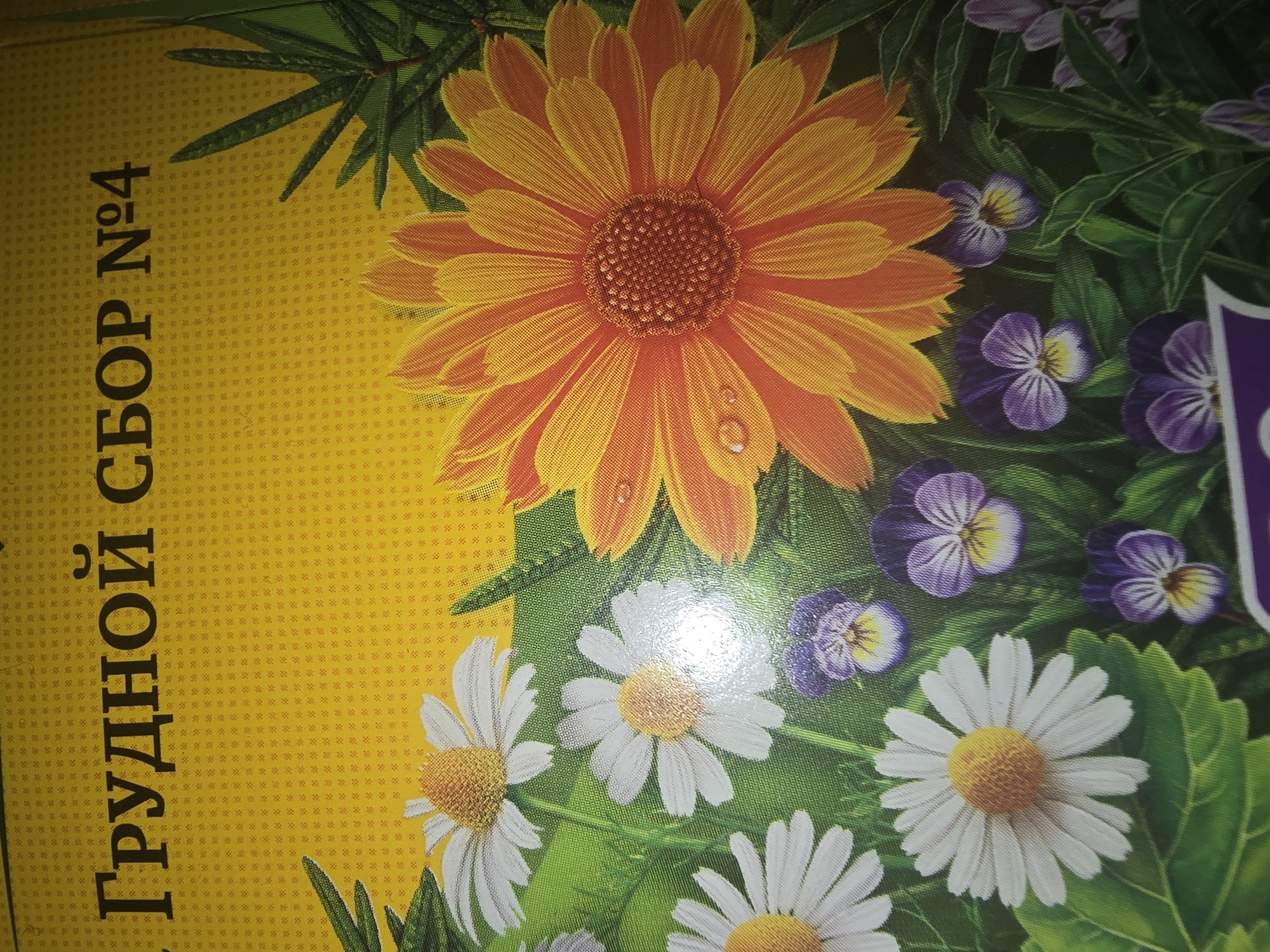 The image is a close-up of the packaging for a product, likely containing seeds or herbs, with a floral design. The text on the packaging is in Russian and reads "ГРУДНОЙ СБОР №4" which translates to "Chest Collection No. 4". The background is a yellow textured pattern. The foreground features various flowers, including daisies, pansies, and a large orange-yellow flower, possibly a marigold or calendula, with water droplets on its petals. There are also green leaves and other foliage. The image is a product shot and does not depict any specific location in Ulan-Ude, Russia, or any people.
