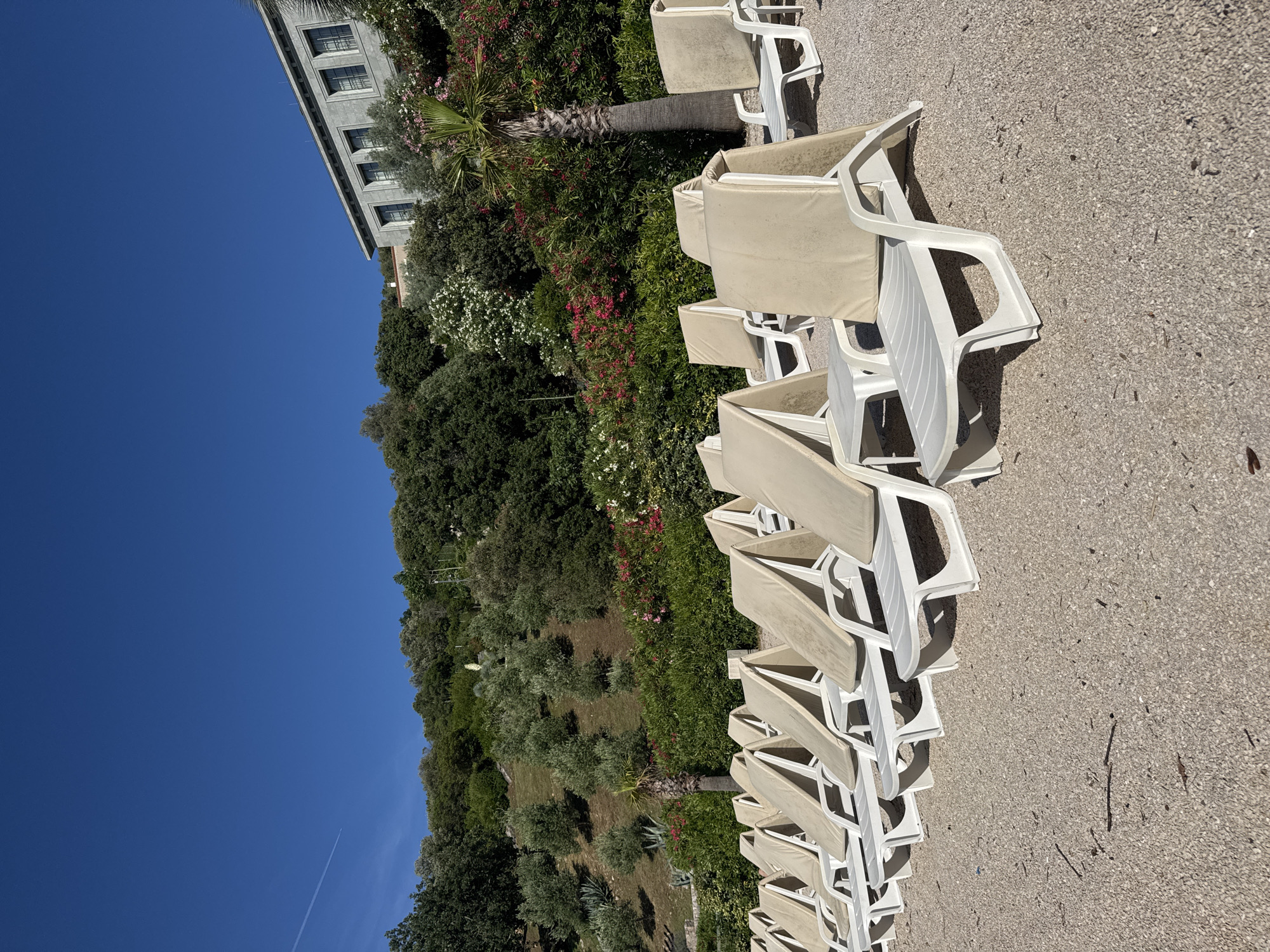 The image captures a sunny outdoor scene, likely a resort or beach area, in the city of Unknown, Unknown. In the immediate foreground, a light-colored pebbly or gravelly surface extends, showing scattered small debris. Occupying the mid-ground are multiple rows of white plastic lounge chairs, each fitted with a beige fabric cushion, mostly folded over the backrest. The chairs are arranged in a diagonal formation, extending from the lower left to the right, and cast distinct shadows to the viewer's left, indicating bright direct sunlight.
Behind the chairs, a dense line of green foliage, including bushes with red and white flowers, forms a natural barrier. A tall palm tree with a textured trunk rises from this vegetation line on the right side of the frame. Further into the background, a verdant hillside ascends, covered with numerous trees, including identifiable olive trees, and agave plants. The ground on the hillside appears dry and light brown in color.
Two buildings are visible on the hillside. Towards the upper left, a small structure with a terracotta roof is partially obscured by trees. On the upper right, a large, multi-story building with a grey facade and multiple rectangular windows with dark frames stands prominently. The architecture suggests a substantial, possibly resort or institutional, structure. The sky above is a clear, deep blue, with a single white contrail from an aircraft visible in the upper left quadrant. No people are present in the scene.