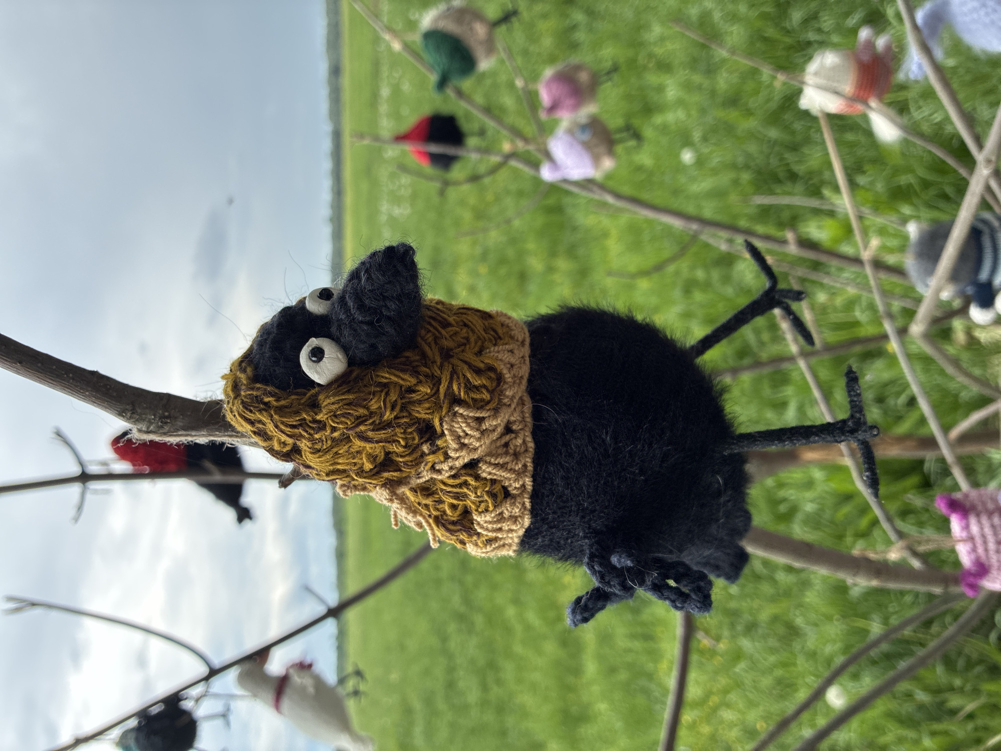 The image shows a black, crocheted bird with googly eyes and a brown crocheted collar perched on a branch. The background consists of a field and a cloudy sky. Other small, crocheted objects are visible on the branches, seemingly part of an outdoor art installation. The location is Боголюбово, Russia.