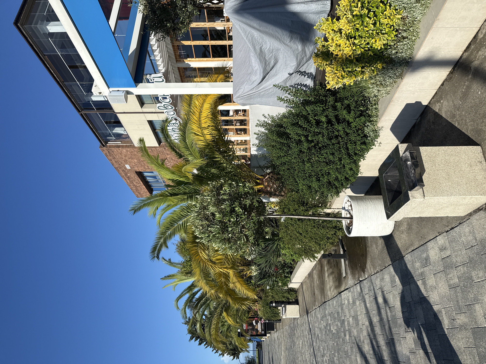 The image captures a sunny day scene along a paved walkway lined with lush greenery and palm trees in Sochi, Russia. A multi-story building with a modern design, featuring glass windows and a blue awning, stands to the right of the walkway. Signs with Cyrillic script are visible on the building. A large, gray tarp covers an outdoor area. The walkway is made of gray interlocking pavers that cast long shadows. Several planters with various plants, including bushes and a small tree, are strategically placed along the building. A granite ash receptacle is positioned on the walkway. The sky is a clear, bright blue, indicating good weather. The overall impression is of a well-maintained outdoor area adjacent to a commercial establishment in a coastal city.