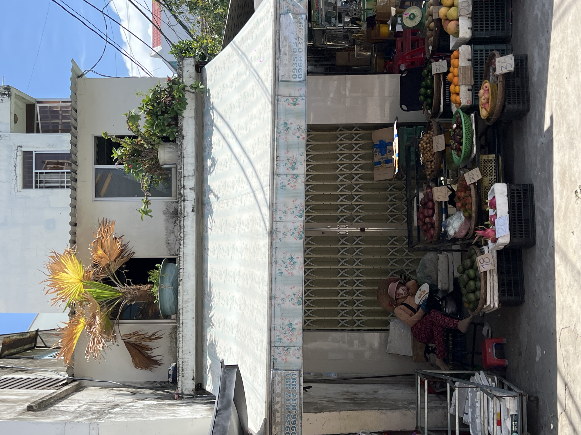 The image depicts a street-level view of a storefront in Nha Trang Ward, Vietnam, likely operating as a fruit stand. A woman, partially obscured by a hat and face mask, is resting on a chair in front of the closed metal gate of the shop. She is wearing a light-colored top and patterned trousers, and a white plate rests on her lap.
The storefront is covered by a patterned awning with floral motifs. Displayed in front of the gate are various fruits arranged in baskets and crates, with price tags visible on some. These include what appear to be avocados, oranges, longans, rambutans, mangosteens, apples, and dragon fruit. To the left of the storefront, metal shelving units hold stacked white containers.
Above the storefront, on the second story of the building, potted plants are visible on a balcony. One plant is a palm tree with some dry fronds, and another is a leafy green plant. The building itself is a multi-story structure with windows. Electrical wires are strung across the upper portion of the image against a blue sky. The overall scene suggests a typical urban commercial environment in Vietnam.