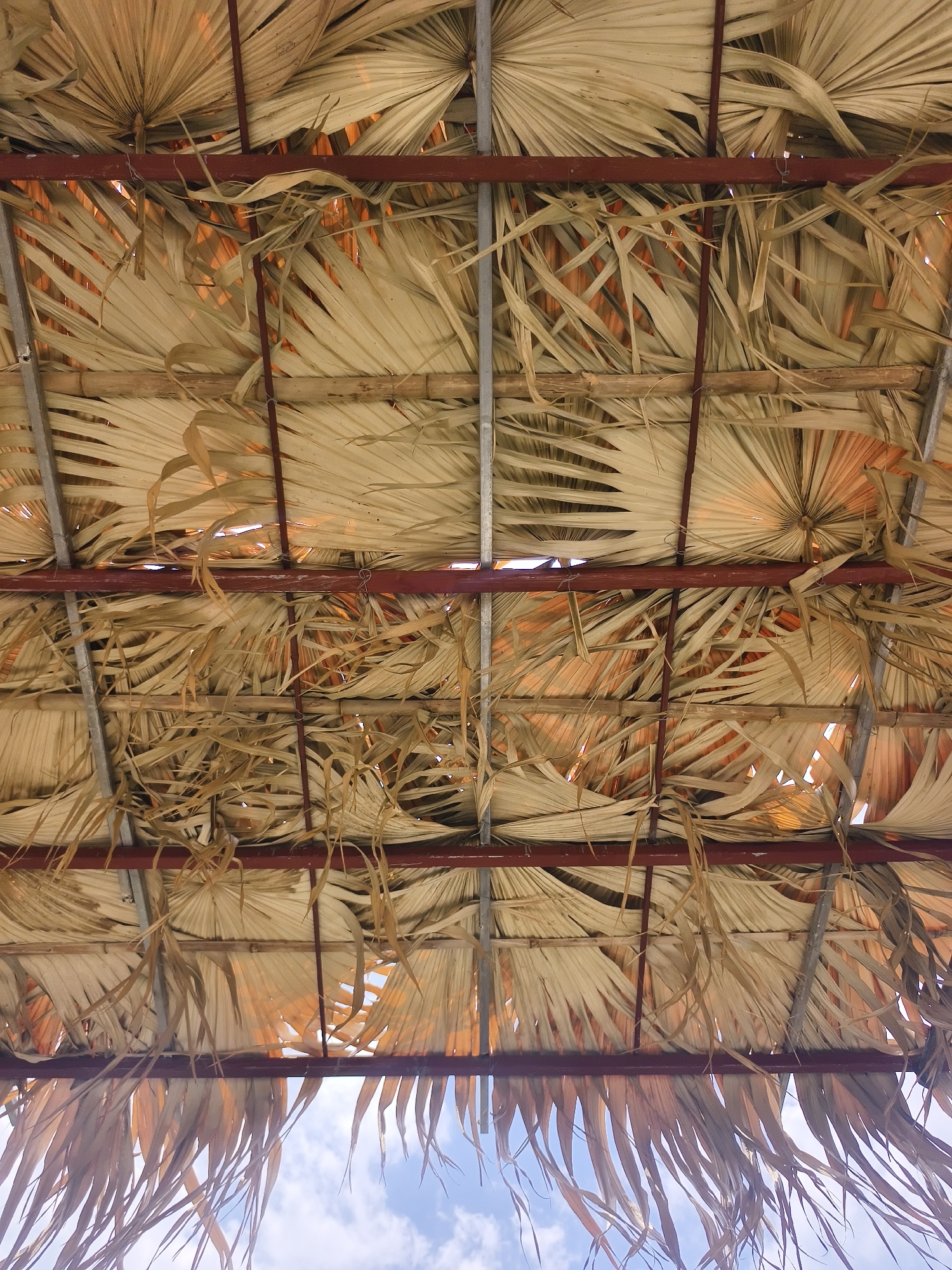 The image shows the underside of a roof constructed from dried palm fronds and a metal frame. The palm fronds are woven or layered together, creating a thatched appearance. The metal frame consists of horizontal beams and vertical supports, forming a grid structure. Sunlight filters through gaps in the palm fronds, creating areas of light and shadow. The bottom of the image reveals a glimpse of a blue sky with scattered white clouds, suggesting an outdoor setting. The scene appears to be located in a warm climate. The overall impression is of a rustic or natural shelter. There are no people or animals visible in the image.