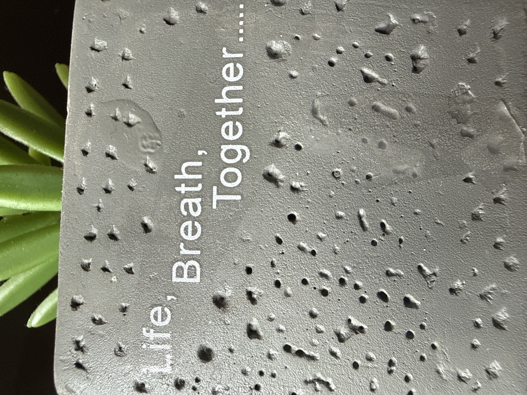 The image shows a close-up of a gray, textured surface with the inscription "Life, Breath, Together...". The surface is characterized by numerous small bumps and indentations, some of which contain water droplets. To the left, a portion of a green succulent plant is visible. The location in Cherven Bryag, Bulgaria is not evident from the image.
