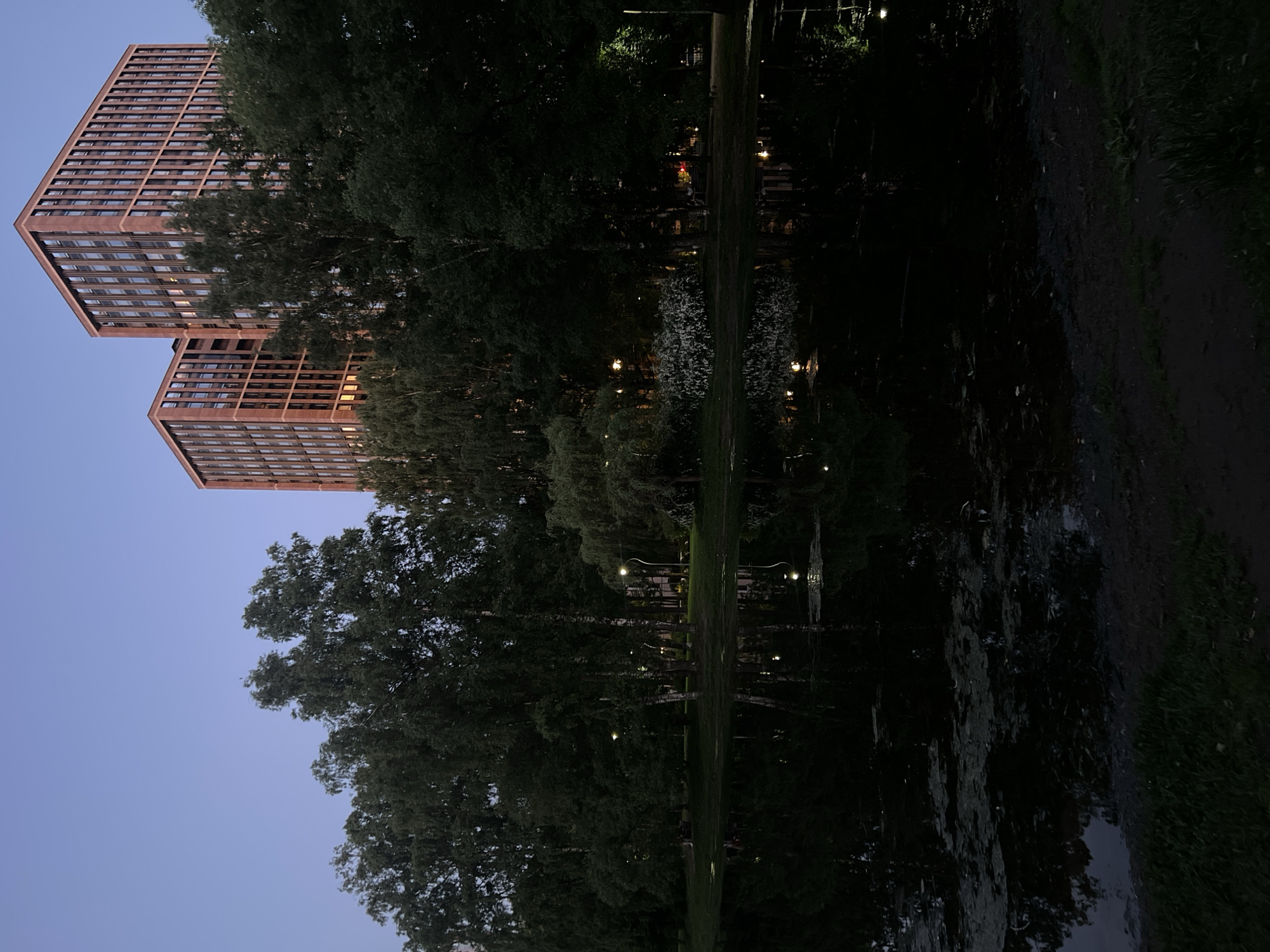 This image depicts an urban park scene at twilight in the city of Unknown, Russia. In the upper right quadrant, two modern high-rise buildings with reddish-brown facades and numerous uniformly-sized rectangular windows are partially visible above a dense tree line. Several windows on both structures exhibit warm internal illumination, casting a subtle glow. The sky above the buildings is a clear, gradient twilight blue.
The middle ground is dominated by a thick canopy of dark-foliaged deciduous trees, some exhibiting lighter bark consistent with birch trees. The trees obscure the lower portions of the buildings and line the far bank of a dark body of water that occupies the lower half of the frame. Scattered artificial lights, including streetlights with a distinct curved pole, are visible among the trees on the far bank, illuminating small patches of green grass. These lights, along with some reflections from the buildings, create elongated, shimmering vertical reflections on the still, dark water surface. Patches of darker vegetation or algae are present on the water's surface, particularly in the lower left. The immediate foreground consists of a dark, unpaved earth path or ground, bordered by sparse, dark green grass and low-lying vegetation. No individuals or discernible actions are present within the scene.