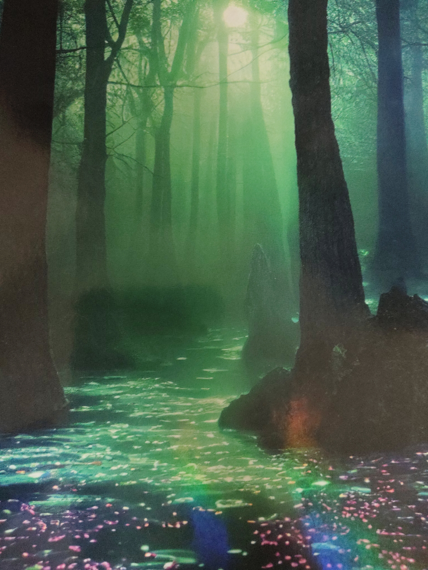 This image depicts a deeply forested, misty landscape in the city of Unknown, Unknown. A dense, green-tinged fog permeates the environment, obscuring distant features and creating a diffused light quality. A bright, undefined light source, possibly the sun, is positioned in the upper center-left, casting visible rays through the mist. Numerous tall, dark tree trunks, predominantly evergreen or deciduous trees in shadow, rise vertically throughout the scene, with the closest trunks exhibiting rough bark textures. A body of water, appearing as a stream or shallow pool, traverses the midground and foreground. The water surface displays prominent, multi-colored reflections and refractions, exhibiting patches of bright green, teal, blue, and iridescent pinks and purples. The immediate foreground, bordering the water, is scattered with numerous small, brightly colored specks, predominantly pink, magenta, and light blue, contrasting with the darker ground. A large, dark, irregular mass, likely a rock formation or tree roots, is visible on the right bank of the water in the foreground. No human figures or discernible actions are present.