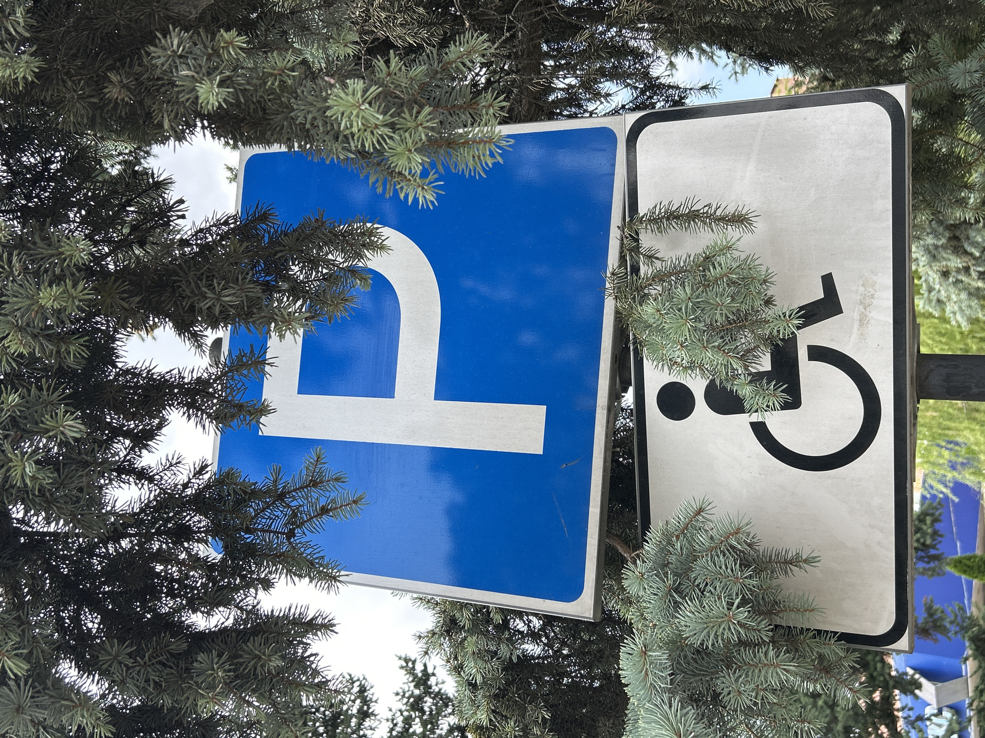A close-up, eye-level shot captures two traffic signs, one above the other, partially obscured by the branches of an evergreen tree. The upper sign is a blue rectangle with a white "P" for parking. Below it, a white rectangle features a black icon of a person in a wheelchair, indicating disabled parking. The signs are mounted on a metal pole, which is not fully visible. The background consists of a hazy sky and some out-of-focus greenery, suggesting an outdoor urban setting. The overall impression is one of typical street signage in Uzhhorod, Ukraine.