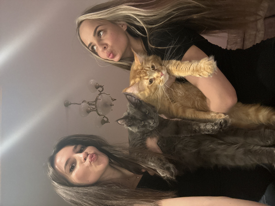 Two women pose cheek-to-cheek, each making a kissy face. The woman on the right has blonde hair with dark roots and wears a black top. She holds a large orange cat. The woman on the left has long brown hair and wears a black top. She holds a large gray cat. A chandelier hangs in the background. The image is rotated counter-clockwise.