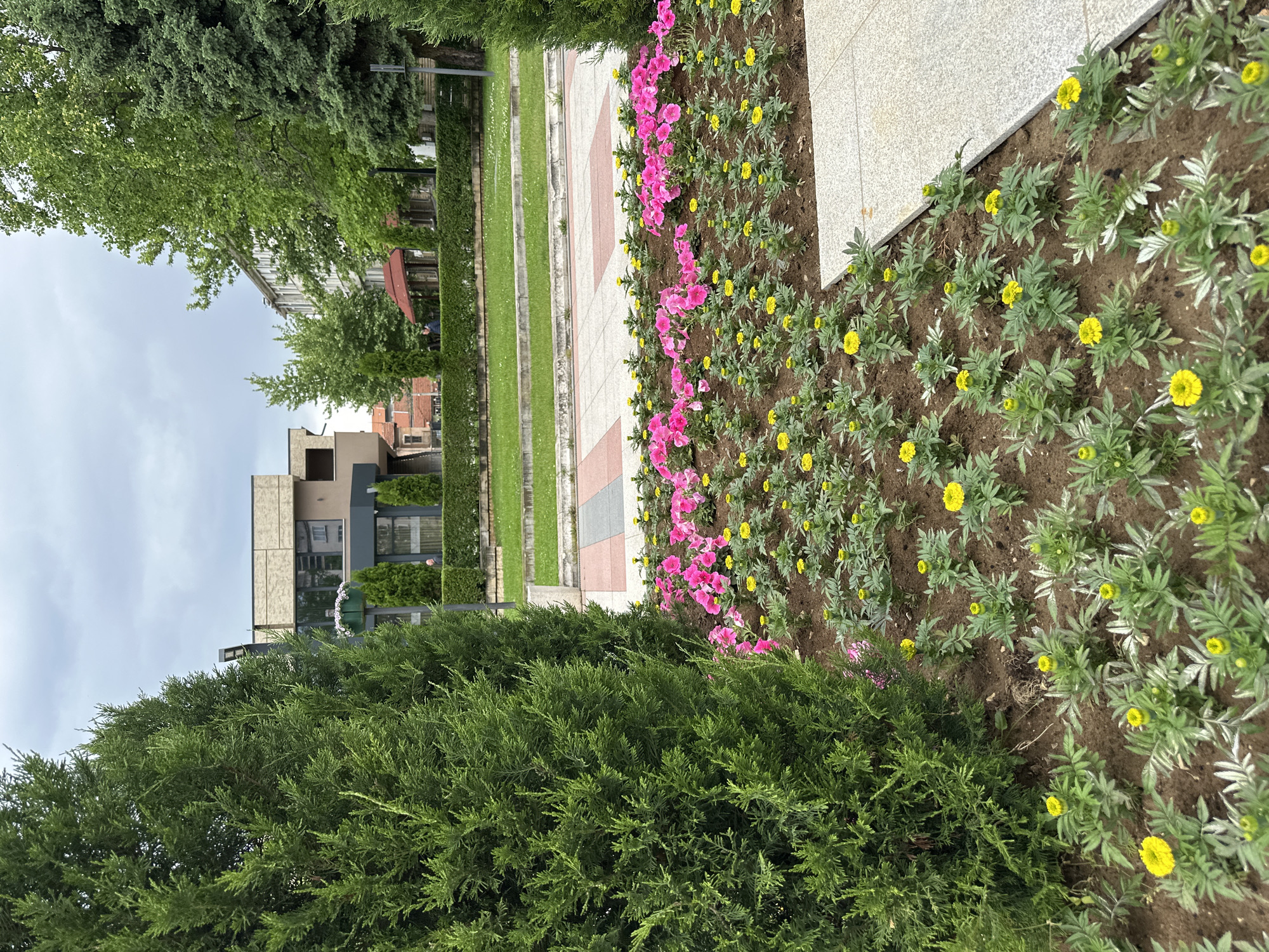 The scene shows a flowerbed with pink and yellow flowers bordering a tiled walkway in Montana, Bulgaria. The walkway leads towards a modern building. Green trees and bushes are present on both sides. The sky is overcast.