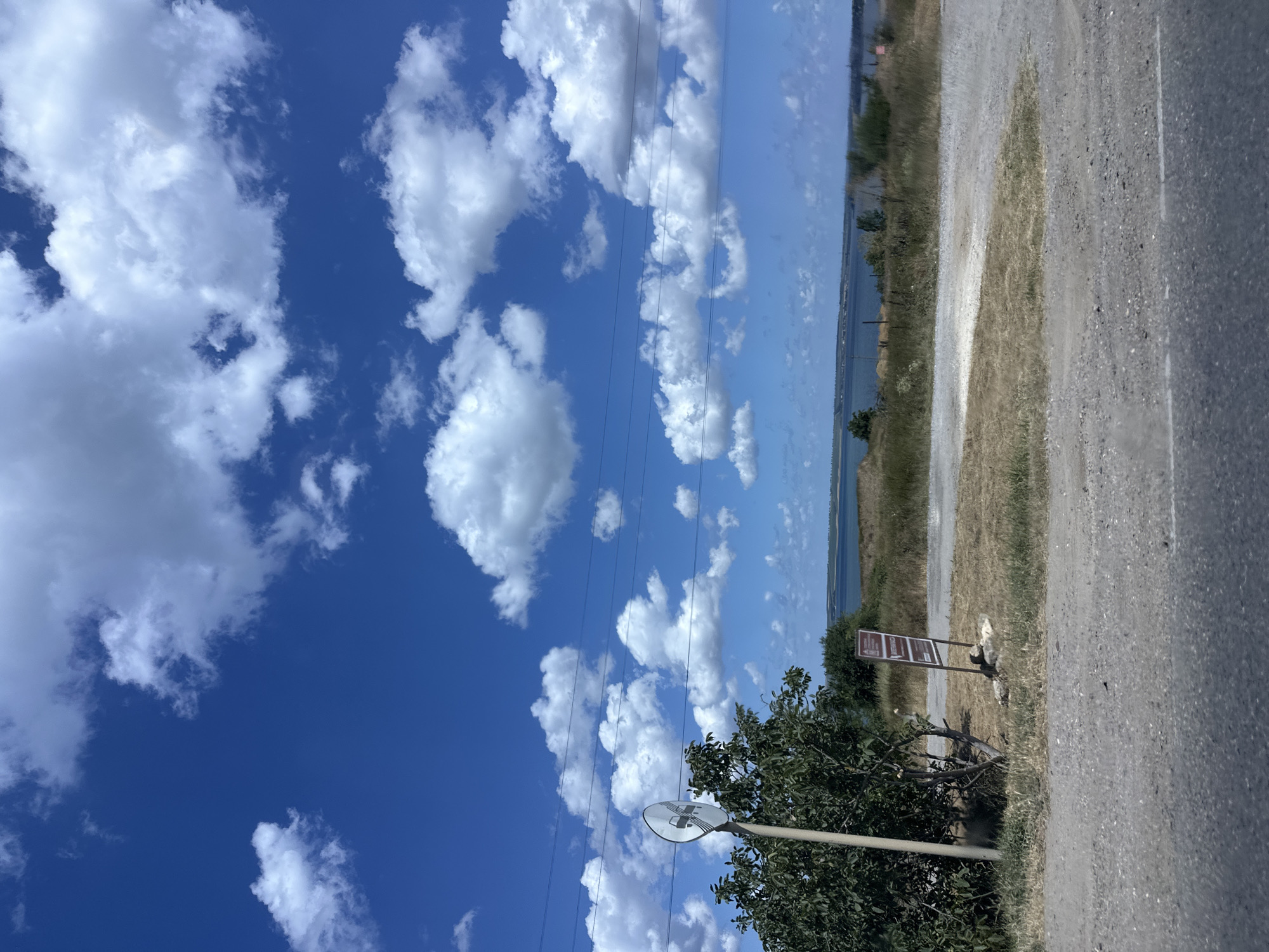 The image depicts an outdoor scene with a bright blue sky filled with scattered white cumulus clouds. In the foreground, a gray gravel road runs horizontally across the bottom of the frame. To the left, a small tree with green leaves stands next to a light-colored pole with a circular sign attached. A brown signpost with multiple signs is also visible near the tree. The middle ground features dry, yellowed grass and some sparse vegetation, with a body of water, likely a bay or sea, visible in the distance. The background consists of a hazy shoreline with more vegetation and the distant horizon. The scene appears to be a roadside view in Sennoy, Russia, given the context provided, likely a rural or semi-rural location near water. There are no people or animals visible in the image. Overhead, thin black lines, possibly power lines, are stretched across the sky.