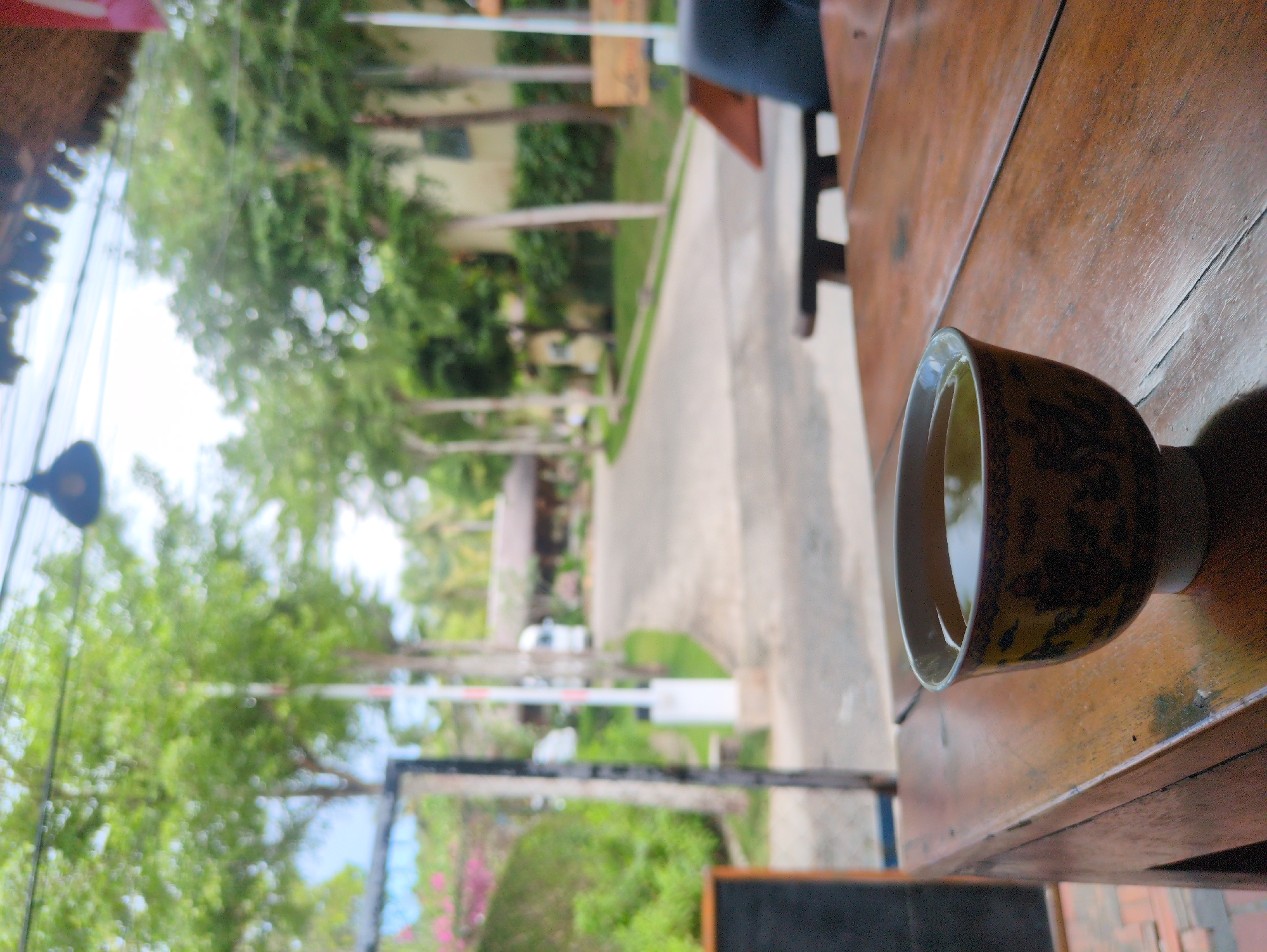 A high-angle shot captures a teacup filled with liquid placed on a wooden table. The foreground is dominated by the table and teacup, while the background reveals an out-of-focus view of a path lined with trees, possibly within the city of Phú Quốc, Vietnam. A blurred building is seen. The image has a casual, candid feel, suggesting it was taken during a break or leisure time.