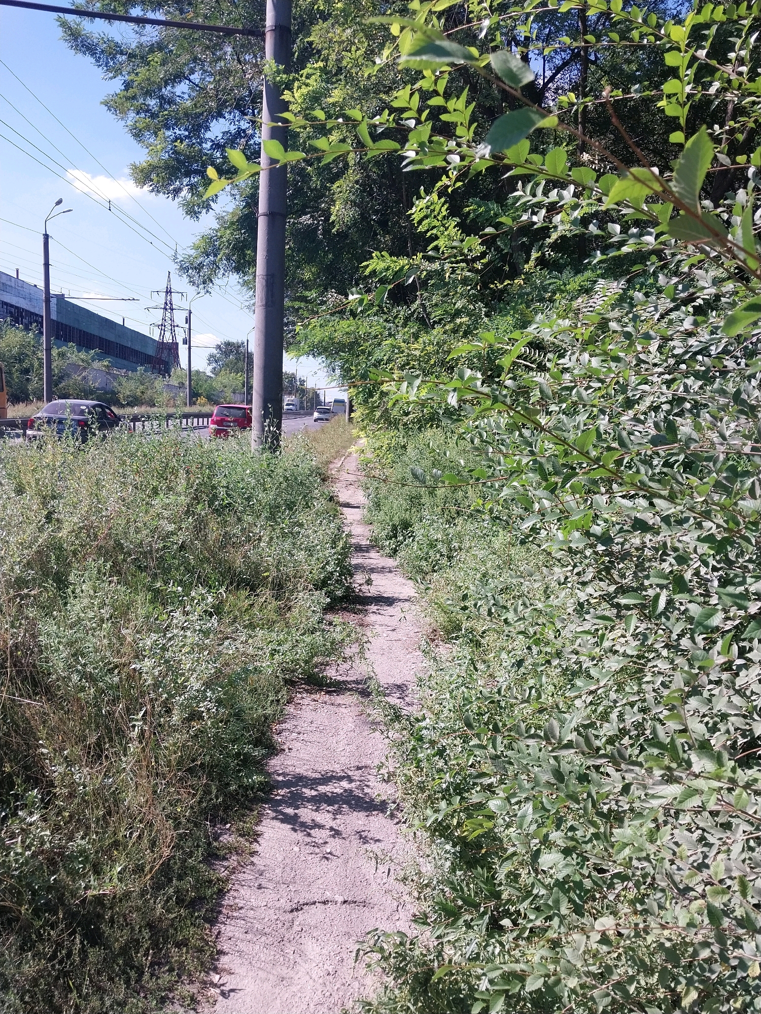 The image depicts an outdoor scene on a sunny day, likely in an urban or semi-urban environment. A narrow, unpaved path runs diagonally from the bottom left to the middle right of the frame, bordered by dense, overgrown green foliage on both sides. The path appears to be made of gravel or dirt and shows signs of wear, with some cracks and indentations. Shadows from the foliage are cast upon the path, indicating the sun's position.
In the background, a road with vehicles is visible, suggesting proximity to a transportation route. A dark-colored car and a red car are discernible on the road. Beyond the road, there are industrial-looking buildings and power lines, including a tall transmission tower, which are characteristic of an urban setting. Trees and more vegetation are scattered throughout the background. A prominent gray utility pole stands to the right of the path. The overall impression is one of an untended or naturalized area adjacent to a developed urban infrastructure. The specific location is indicated as the city of Dnipro, Ukraine.
