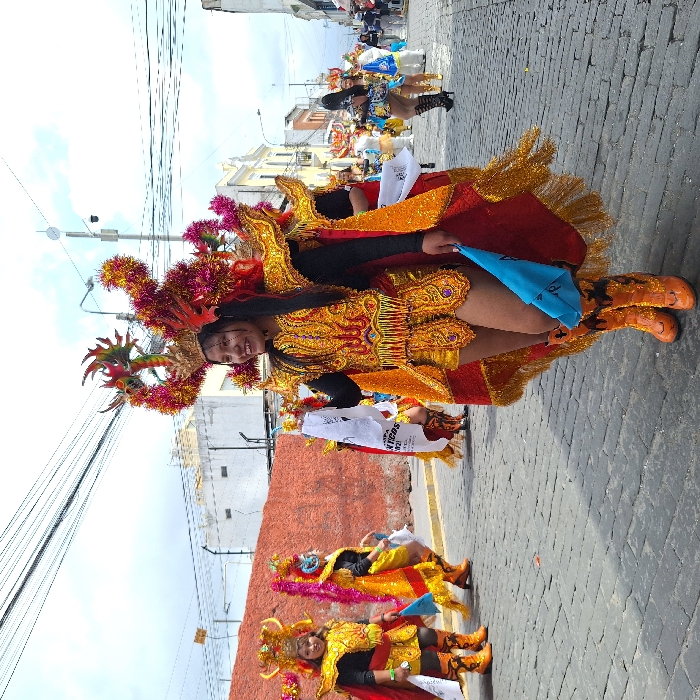 A group of people in elaborate costumes are parading on a cobblestone street. The costumes are adorned with gold embellishments, bright colors, and headdresses. The foreground features a person in a particularly ornate outfit, including a large headdress with floral and dragon-like accents. Behind them are other individuals in similar attire, and a few people are visible further down the street, also in festive outfits. The buildings lining the street are typical urban structures, with a mix of brick and painted facades.