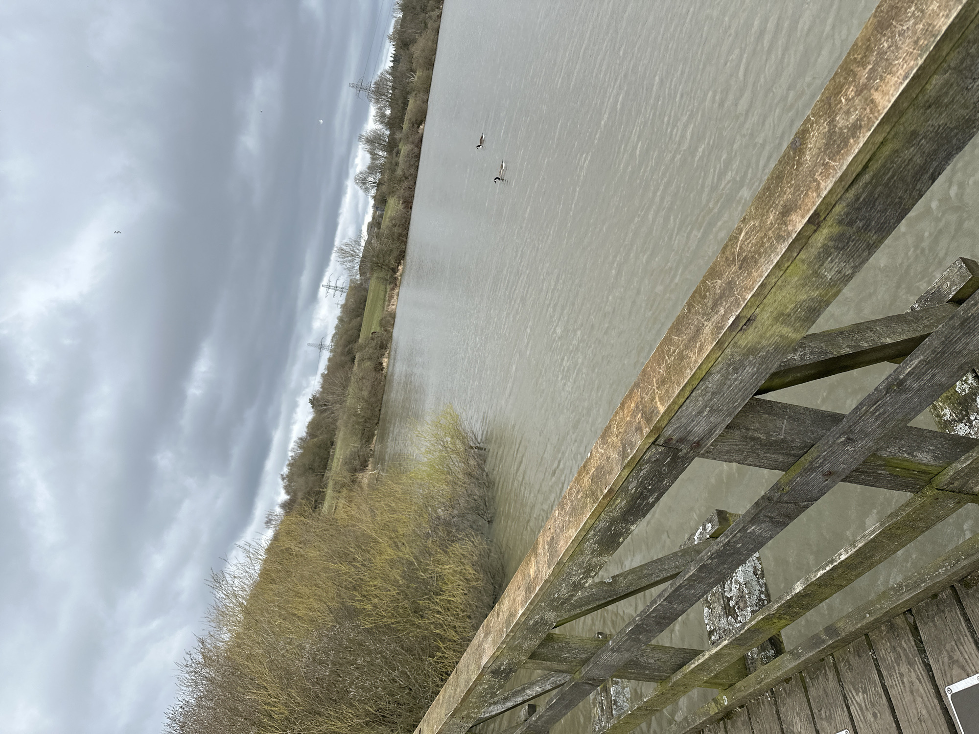 The image presents a landscape scene from what appears to be a high vantage point, possibly a bridge or elevated platform in Dunfermline, United Kingdom. The weather is overcast, with a cloudy sky occupying a significant portion of the frame. A body of water stretches horizontally across the scene, with two birds visible on the water surface. The shoreline features trees and vegetation, indicating a natural or semi-natural environment. Power lines are visible along the shoreline on the far side of the river. A wooden railing or fence is in the foreground, partially obscuring the view and adding depth to the composition. The wood appears weathered and aged, with signs of lichen or moss growth. No people are visible in the frame.