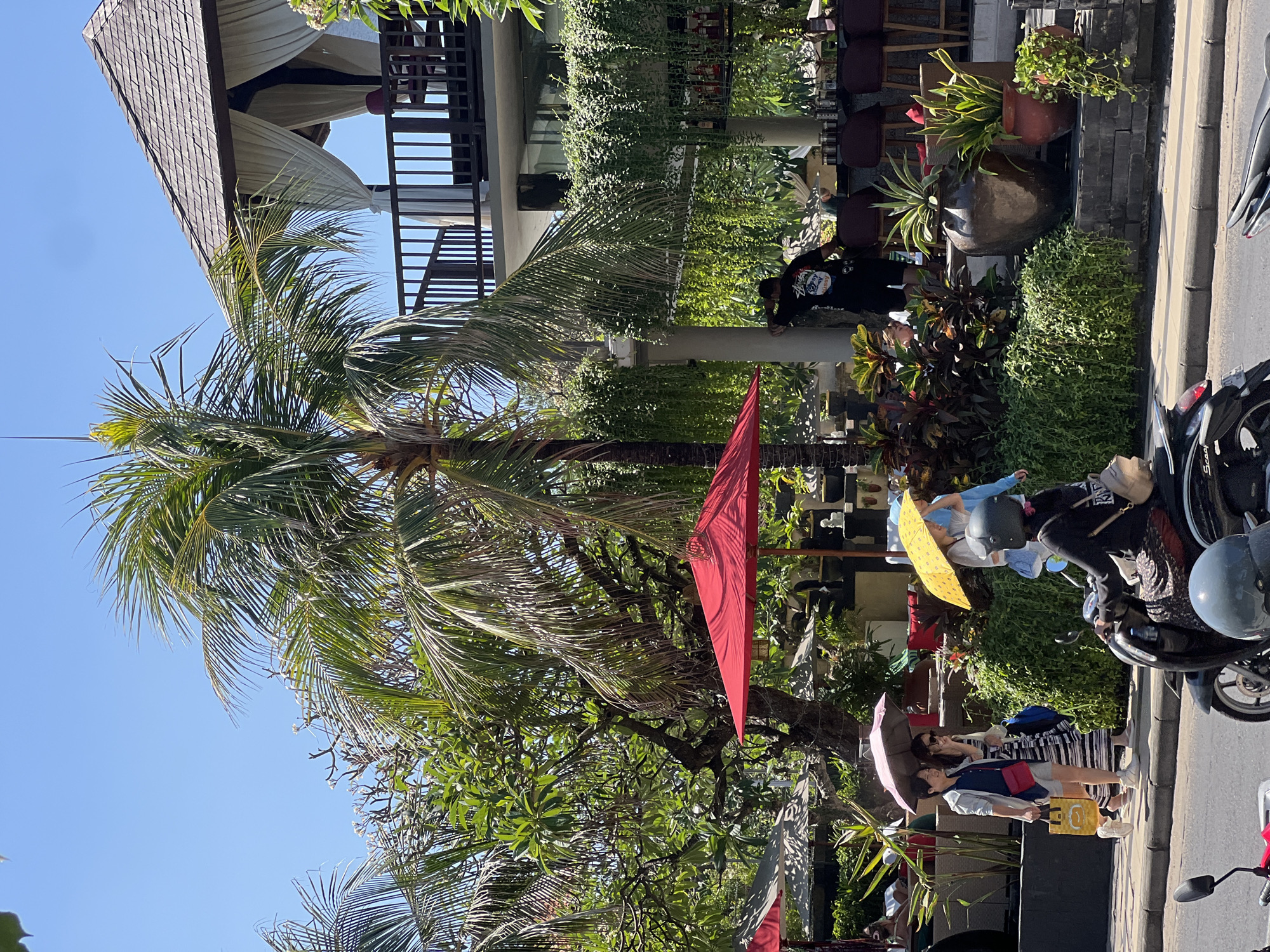 In Kuta, Indonesia, on a sunny day, a paved sidewalk lines a street. Two women walk on the sidewalk under separate umbrellas, one holding a yellow umbrella and the other a pink one. A motorcycle with a person wearing a black helmet and jacket is stopped on the street, with its kickstand down. To the right of the women, a man stands near a building with a balcony and a thatched roof. Lush green plants and trees are visible throughout the scene, with a large palm tree dominating the center. Red umbrellas are open in the foreground, suggesting an outdoor dining area.