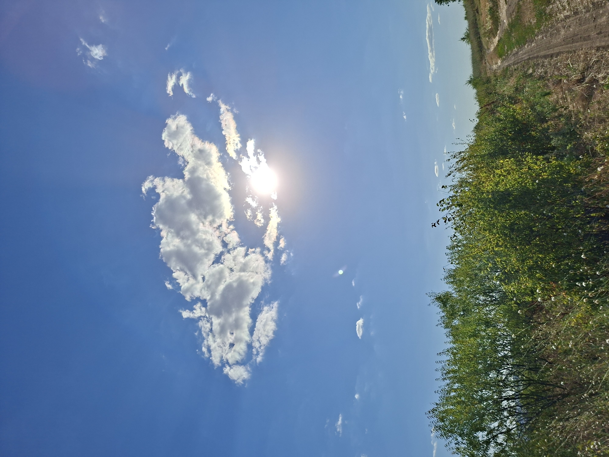 The image depicts a rural landscape under a bright, sunny sky with scattered clouds. The foreground features dense green foliage, likely bushes and trees, bordering a dirt path that winds its way uphill to the right. The path is well-worn, indicating regular use. The sky is a vibrant blue, with the sun partially obscured by a fluffy white cloud, casting a bright glow and creating a lens flare effect. There are no people or animals visible in the scene. The environment suggests a natural, undeveloped area, potentially on the outskirts of a city like Chișinău, Moldova, characterized by open fields and vegetation.
