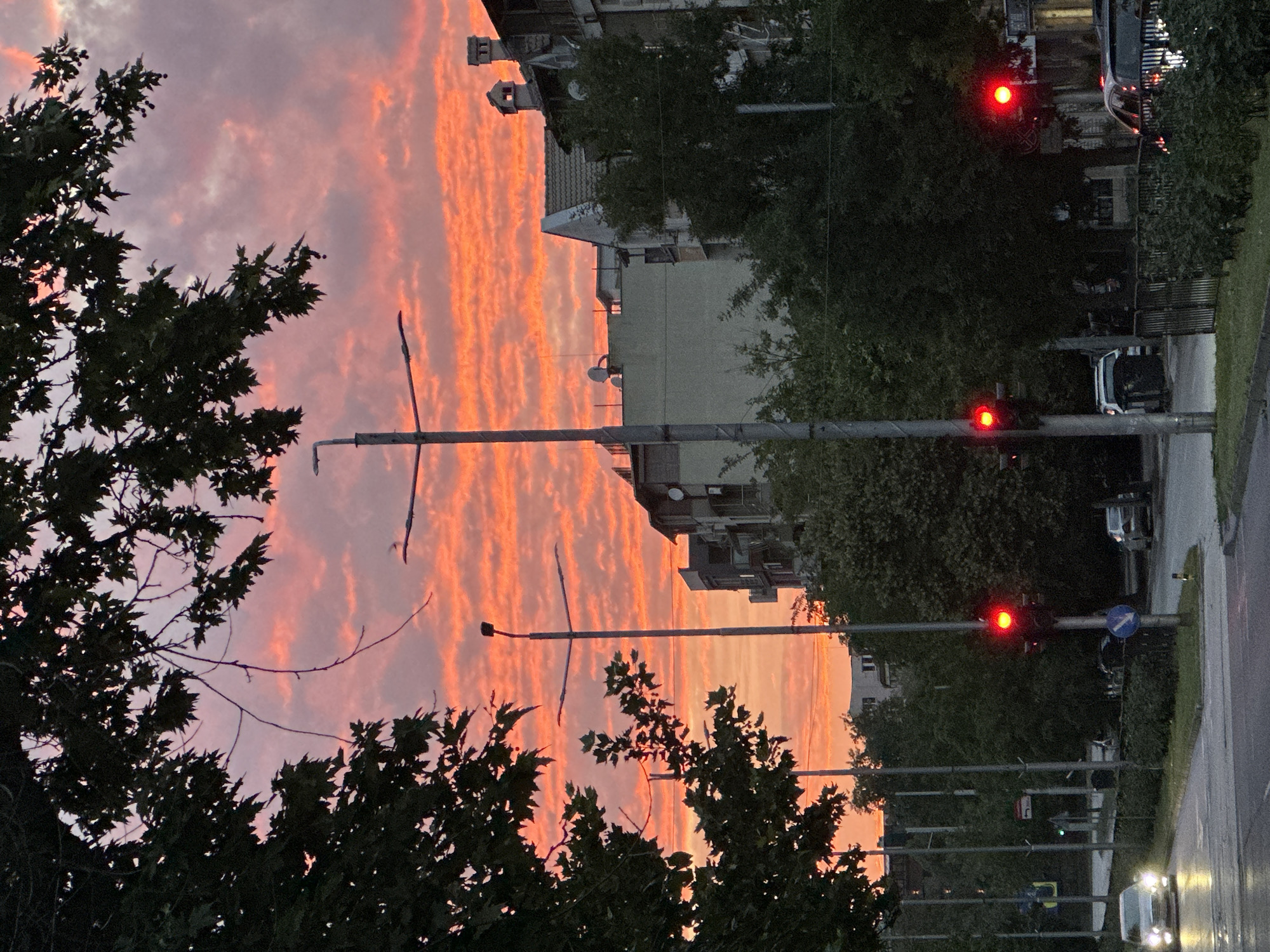 The image captures a vibrant sunset over a street in Plovdiv, Bulgaria. The sky is filled with dramatic clouds painted in hues of orange, pink, and red. In the foreground, silhouetted trees with dark green leaves frame the top and left sides of the scene. A street with cars and traffic lights is visible. Two traffic lights are prominently displayed, both showing a red signal. Buildings, including apartment blocks and houses with chimneys, rise in the background, partially obscured by trees. The street appears wet, suggesting recent rain or that the image was taken during or after a rainfall. The lighting indicates it is dusk.