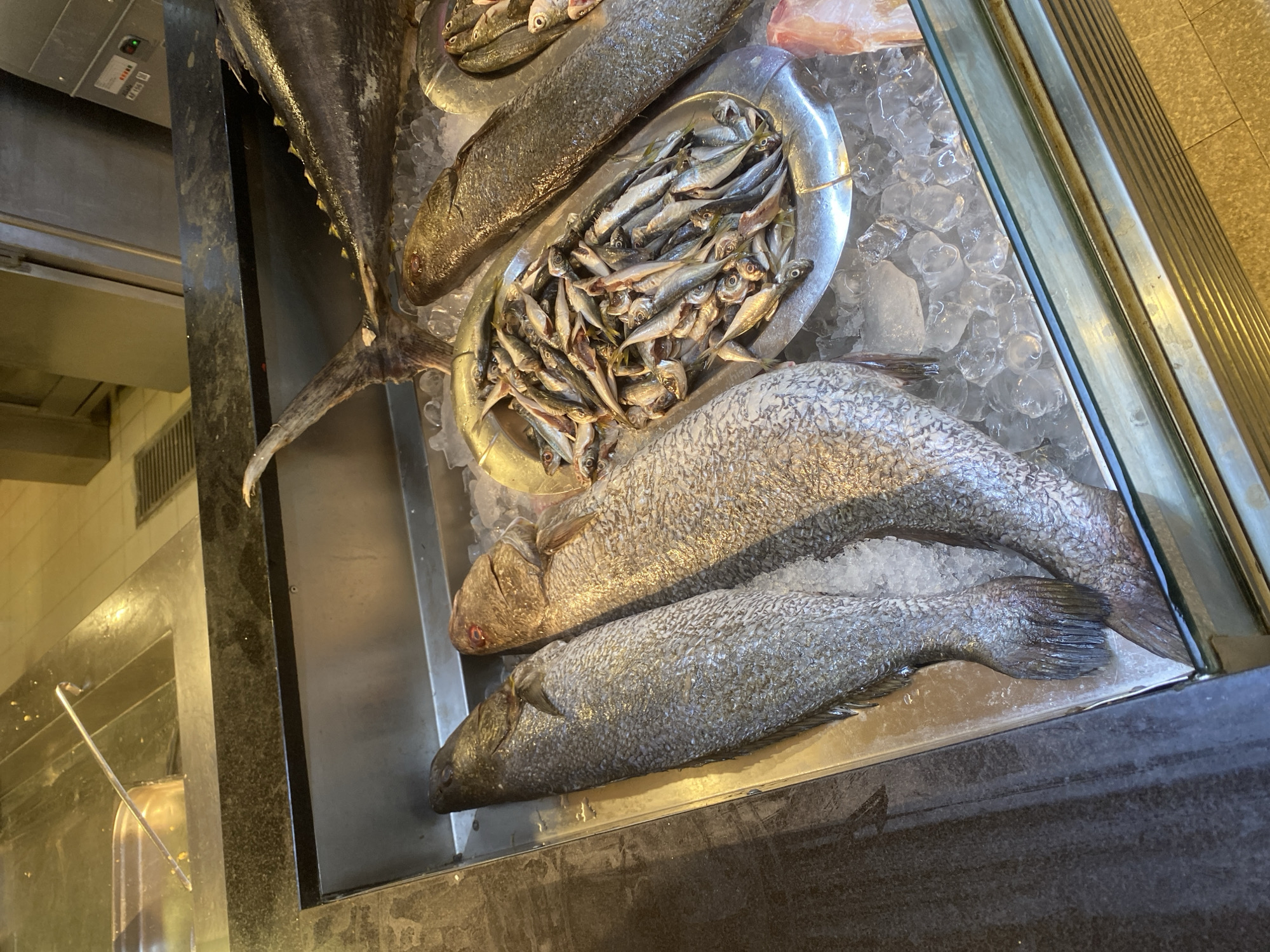 The image displays a close-up, eye-level view of a seafood display at a market or restaurant, likely located in Aksu, Turkey. The primary subjects are various types of fish laid out on a bed of ice. In the foreground, two large, whole fish, likely sea bass or similar, lie side-by-side, oriented head-to-tail. Their scales are visible, and their eyes are a dull red. To the right of these larger fish, a metal dish overflows with a multitude of small, silvery fish, their bodies tightly packed together. Further to the right, a portion of another large, dark-skinned fish is visible, with its tail extending upwards and to the right. The background shows a stainless steel counter and part of a commercial kitchen or display area, with some equipment visible. The lighting is bright, typical of a retail environment, and the overall impression is one of fresh, chilled seafood ready for sale. There are no people visible in the image.