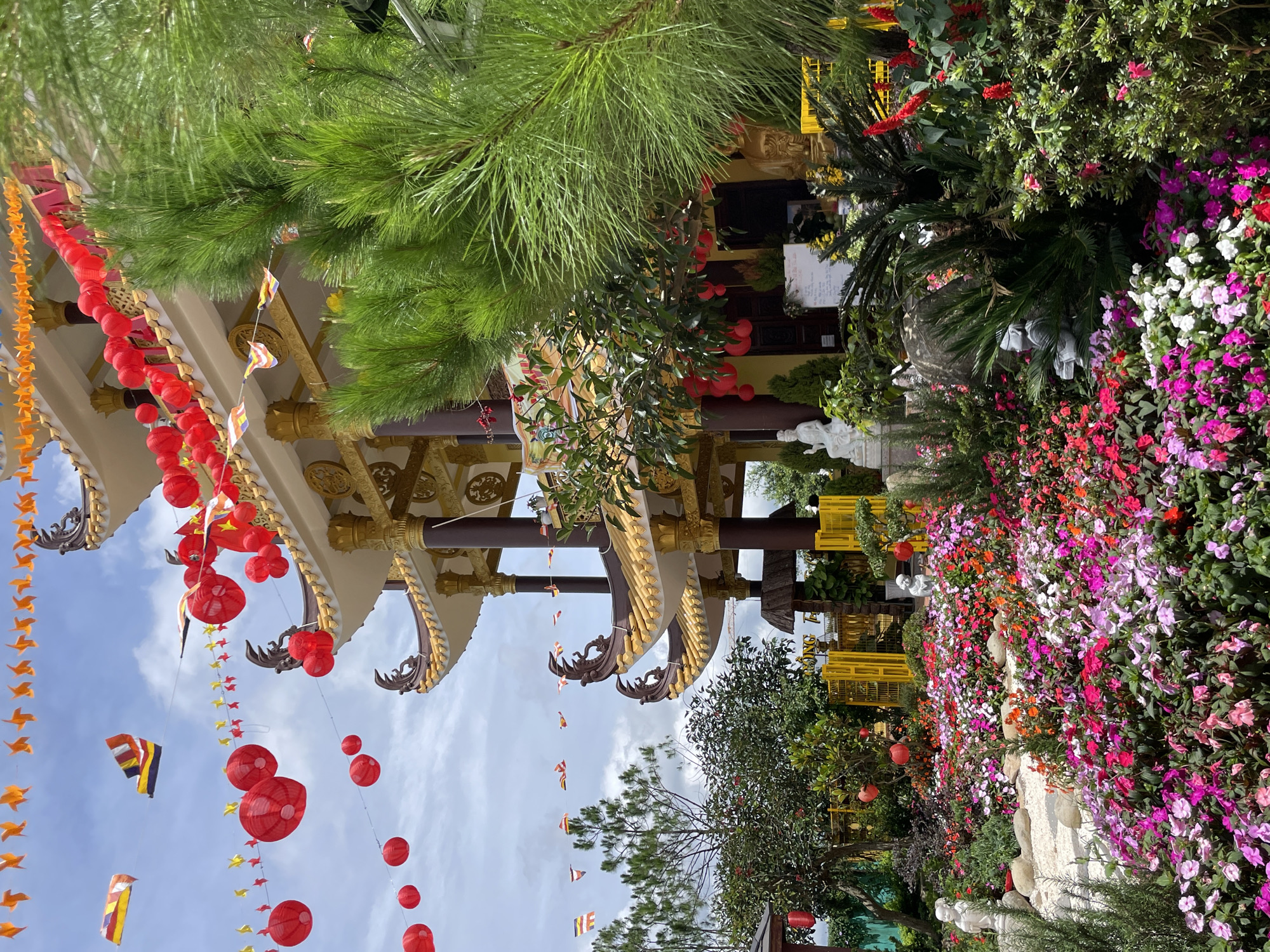 A vibrant outdoor scene unfolds in front of a tiered, ornate Buddhist temple adorned with red lanterns and colorful flags. A lush garden bursting with a profusion of pink, purple, red, and white flowers carpets the foreground, interspersed with small rock formations and miniature Buddha statues. Behind the garden, the temple's golden roofs and dark columns rise against a bright, cloudy sky. A tall evergreen tree with needle-like leaves partially obscures the temple structure on the right. In the midground, yellow gates lead into the temple grounds, and more greenery, including flowering bushes, can be seen. The image captures the festive and serene atmosphere of a Buddhist site, possibly part of a monastery or temple complex, in Da Lat, Vietnam.