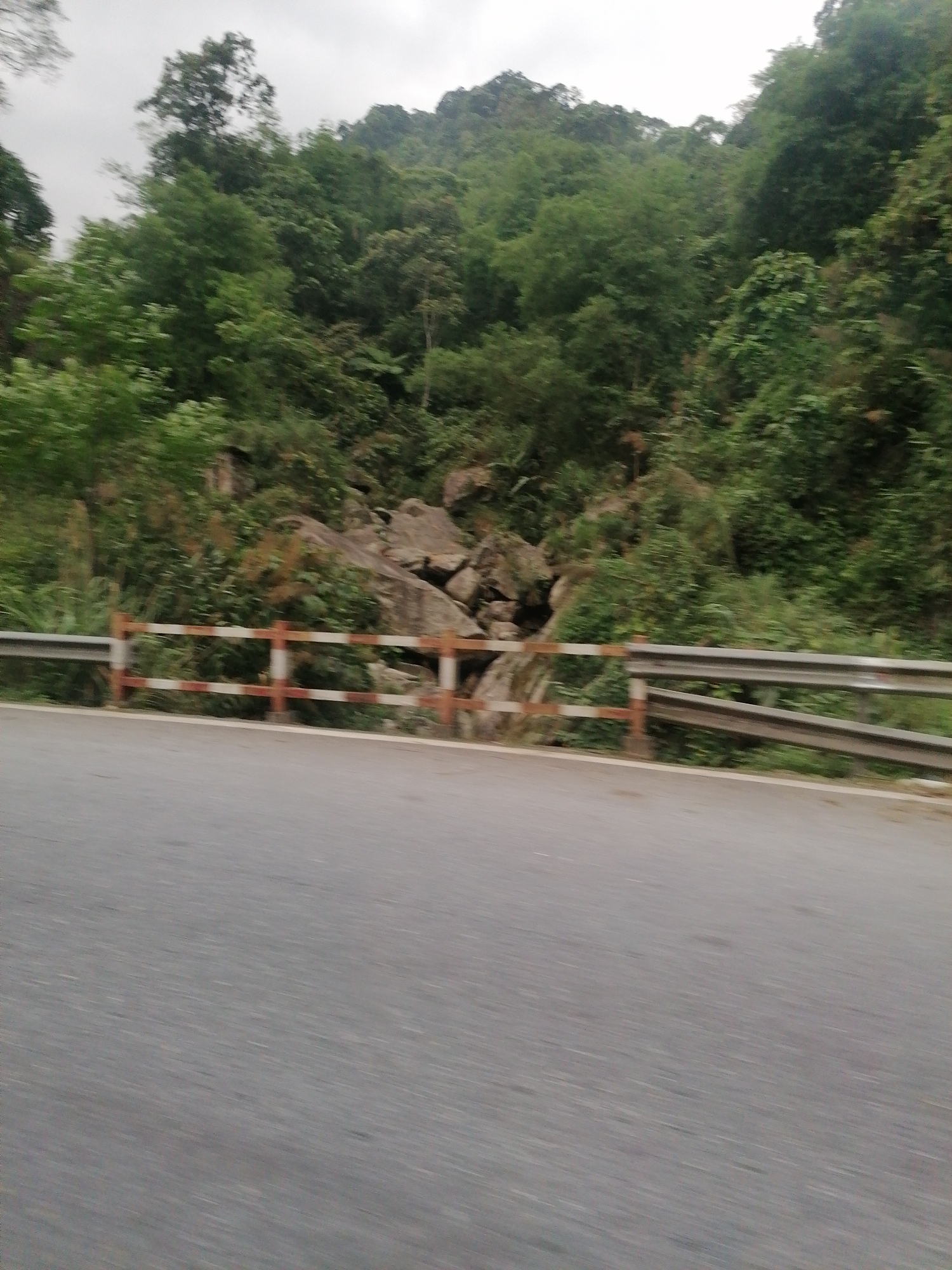 The image shows a section of road in an area with dense green vegetation and rocky terrain. A guardrail runs along the roadside, with alternating white and orange posts in one section and a solid metal beam in another. The road surface appears to be asphalt. The background features a hillside covered with trees and shrubs, with some exposed rocks visible. The sky is overcast. The location in the city of Unknown, Unknown is based on the available information.
