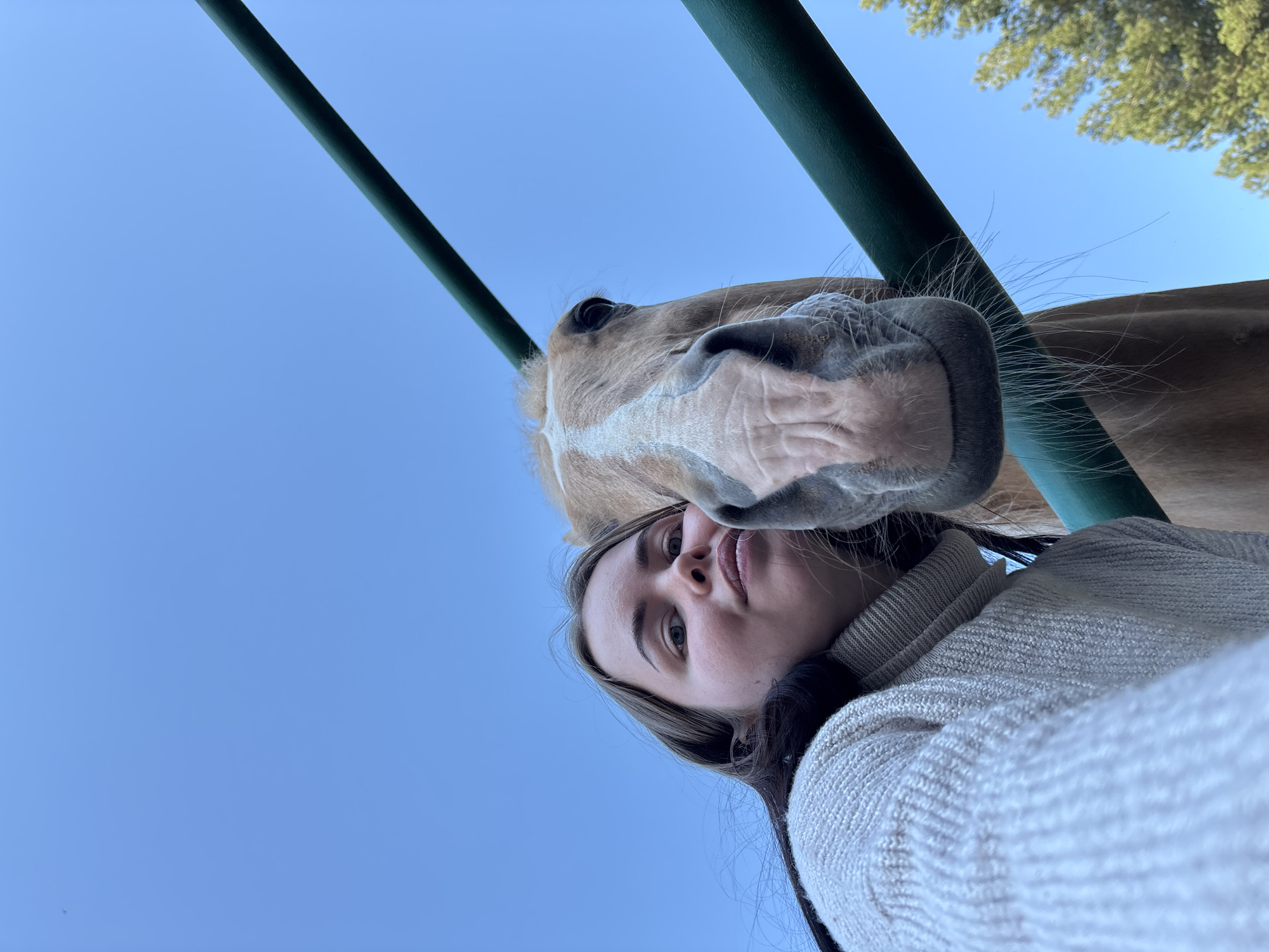 A low-angle shot looking up features a person and a horse. The person, positioned in the foreground, appears to be taking a selfie. Their face is prominent, with a slightly upward gaze. They are wearing a light-colored sweater. Above the person, a horse's head and snout are visible, seemingly close to the camera. Behind them, green bars are present, possibly part of a fence or enclosure. The sky is a clear blue. The location is Русский Вожой, Russia.