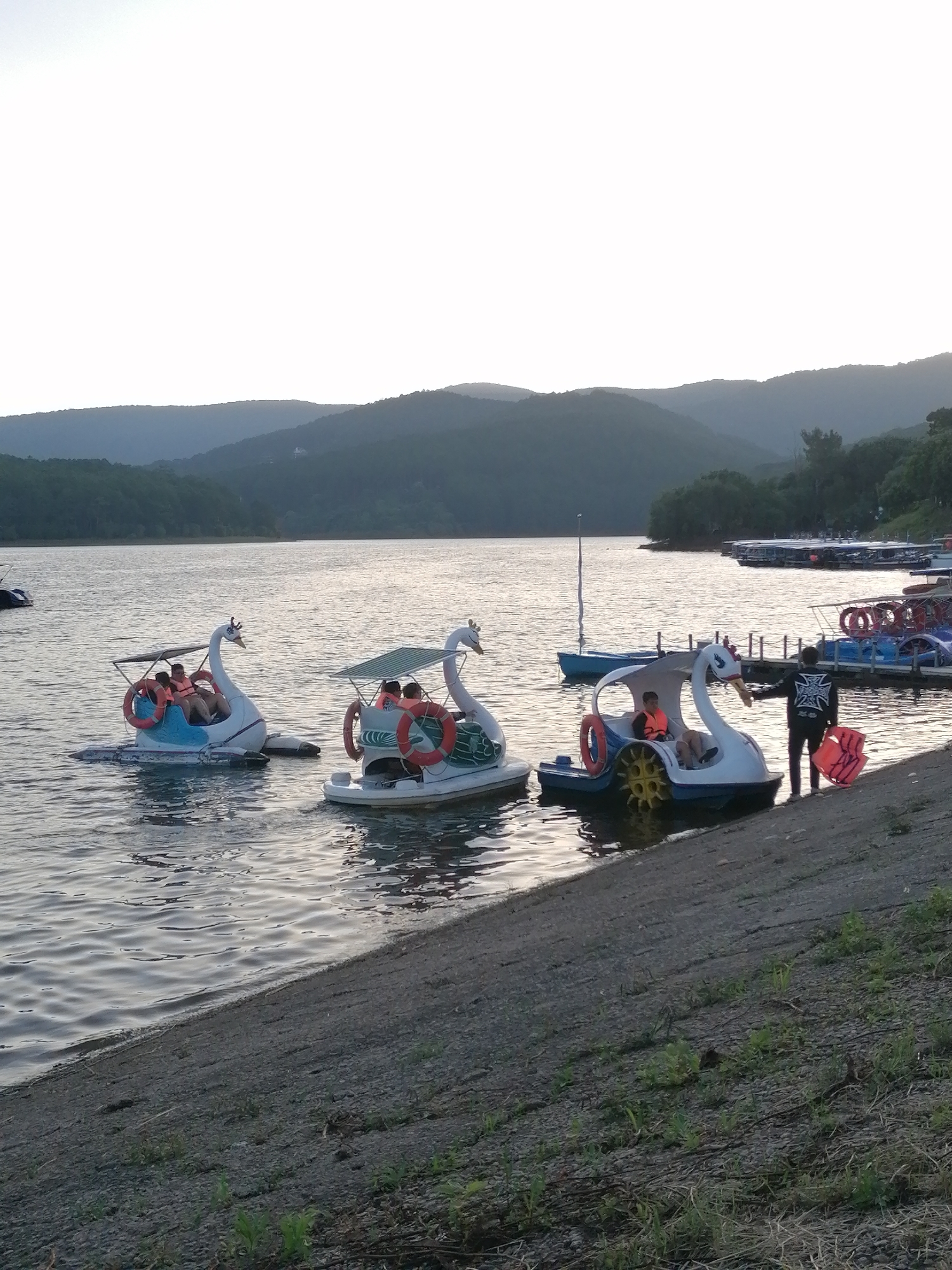 The image shows a serene lake scene with several swan-shaped pedal boats on the water. Two boats are in the foreground, each with people inside wearing life vests. One boat is closer to the shore, and a person on the shore is interacting with the boat. In the background, more pedal boats are docked at a pier, and a distant treeline and mountains form the horizon. The sky is overcast and bright, suggesting early morning or late evening. The overall impression is one of a peaceful recreational setting.