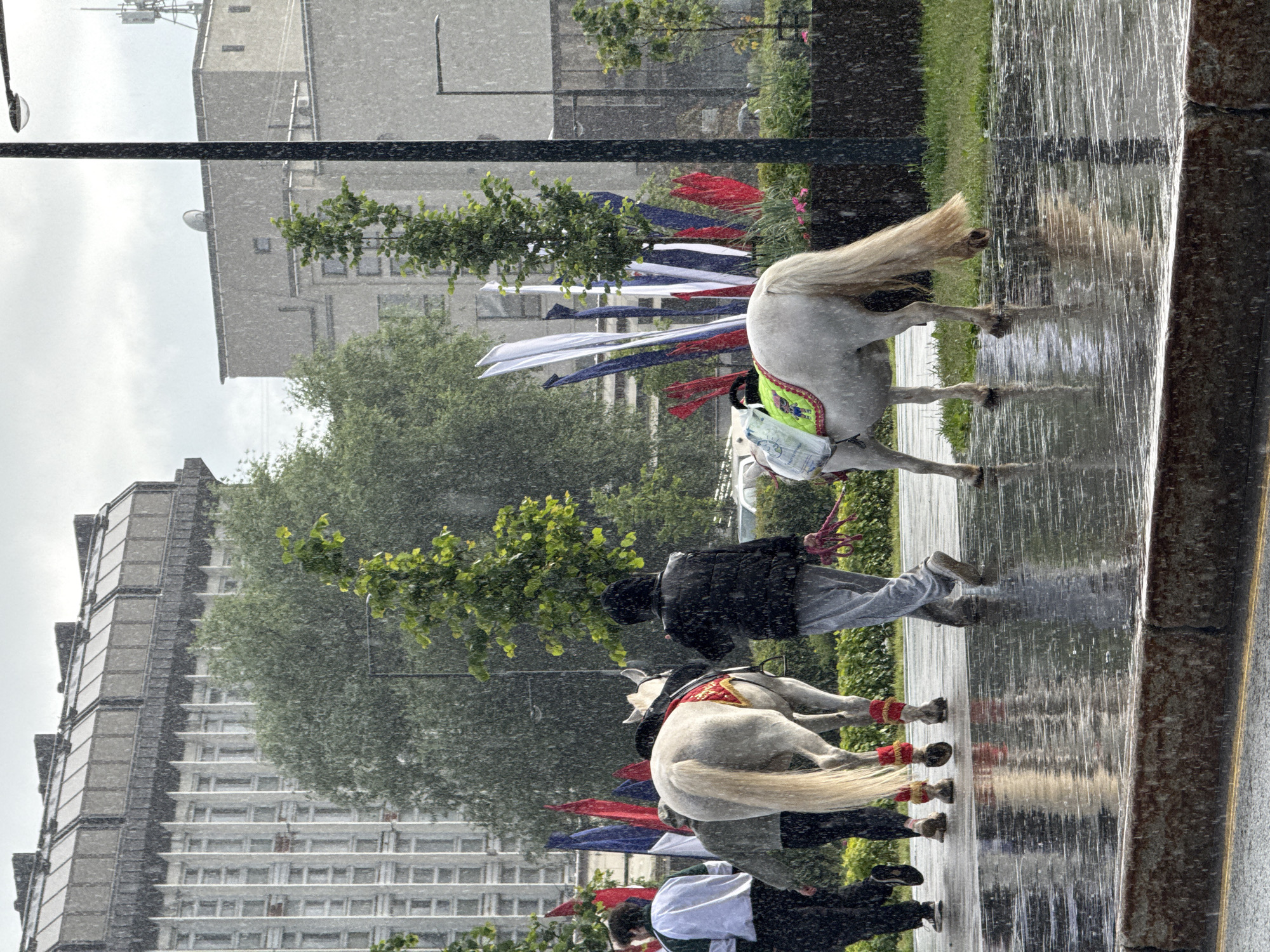 In the city of Perm, Russia, during a downpour, two people lead two horses—one large and one pony—along a wet, reflective asphalt path. The horses are adorned with decorative blankets. In the background, a large, multi-story building with numerous windows and a distinctive top section dominates the left side of the frame, with trees in front of it. Several tall flags, in red, white, and blue, are planted to the right of the building. The right side of the image shows another building, a street lamp, and greenery. The overall atmosphere is damp and overcast due to the heavy rain.