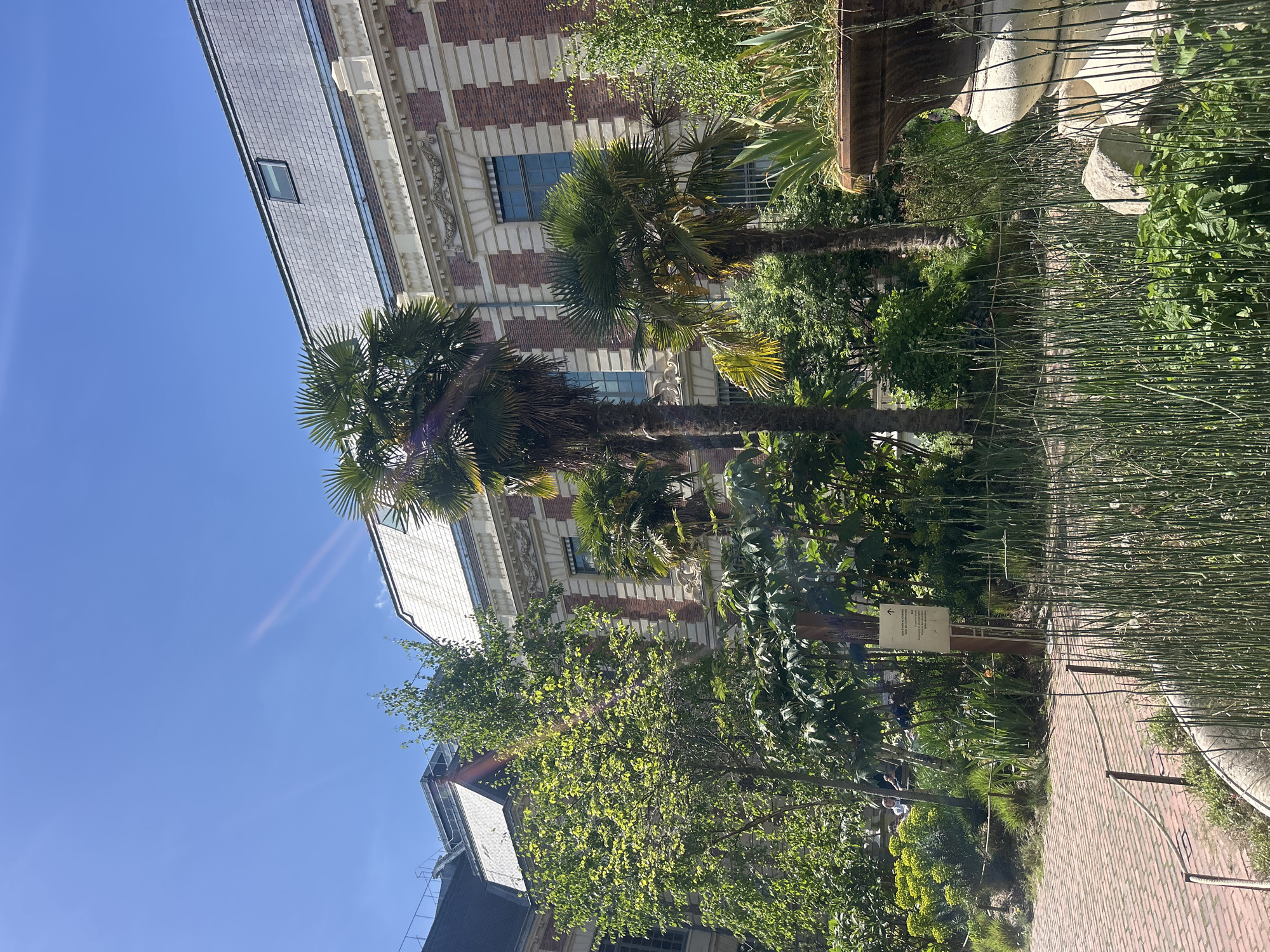 Here is a detailed description of the image:
**Scene**: An outdoor scene with a brick pathway running through a garden setting, adjacent to a building with distinct architectural features.
**Buildings**: The most prominent building in the image has a facade with a combination of red and white brick, along with decorative architectural detailing around the windows. Another building with a slate-grey roof is partially visible on the lower left.
**Vegetation**: A variety of plants and trees are present, including palm trees with mature fronds, and other trees with green foliage. Tall, thin stalks, possibly bamboo, are seen along the pathway.
**Pathway**: A brick pathway is visible, leading into the garden area.
**Objects**: There is a sign mounted on a post beside the path, and possibly other unseen structures in the garden.
**Environment**: The environment appears to be well-maintained.
**Location**: Unknown.