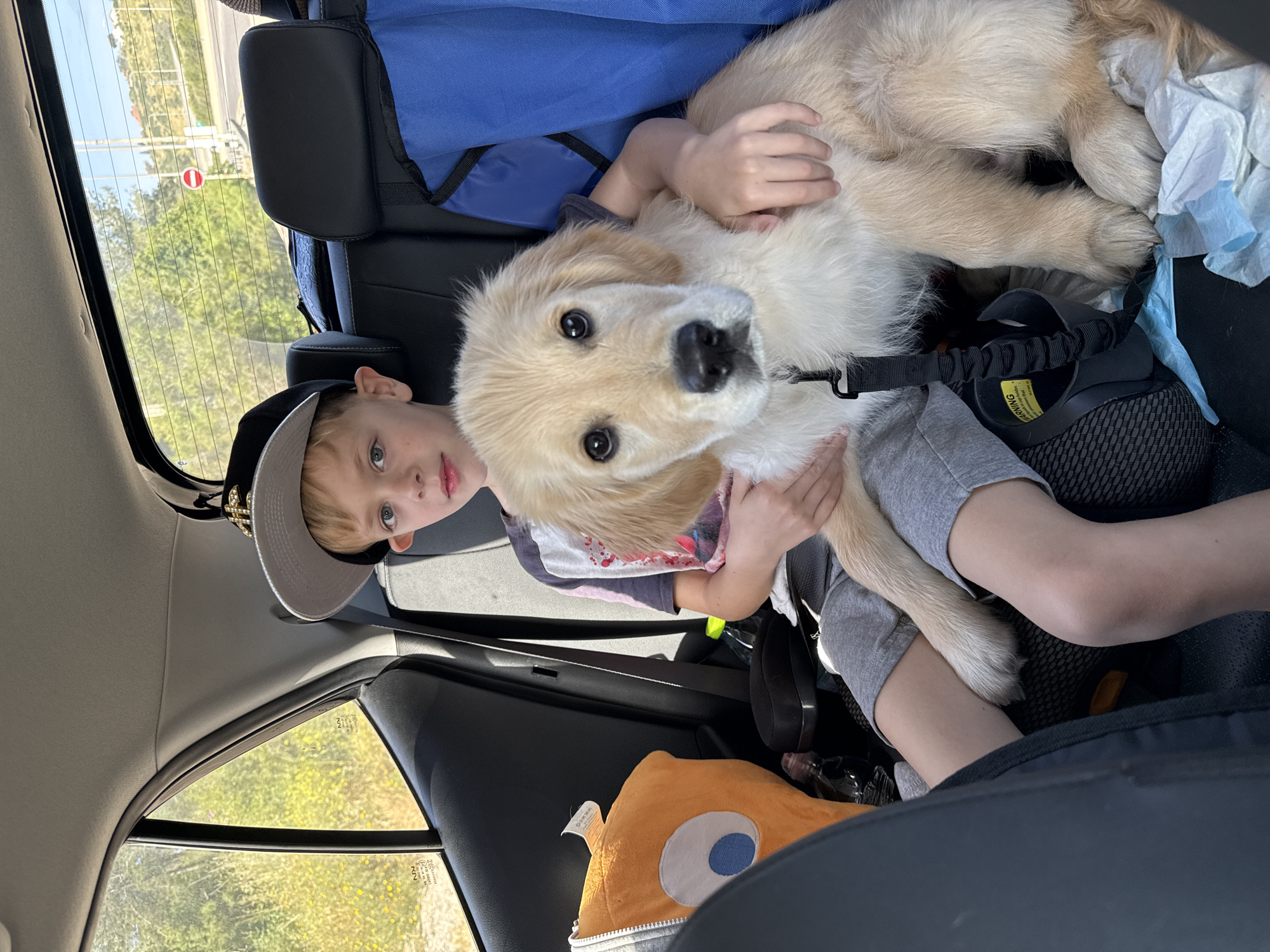 The image shows a young boy in a car, holding a golden retriever puppy. The boy is wearing a gray hat and a patterned shirt. He appears to be looking at the camera. The puppy is the main focus, with its head tilted and dark eyes prominent. A blue bag, a black headrest, and an orange pillow are also visible in the car's back seat. The background seen through the car window suggests an outdoor environment, potentially a road or highway. The image was taken within the Hof HaCarmel Regional Council in Israel.