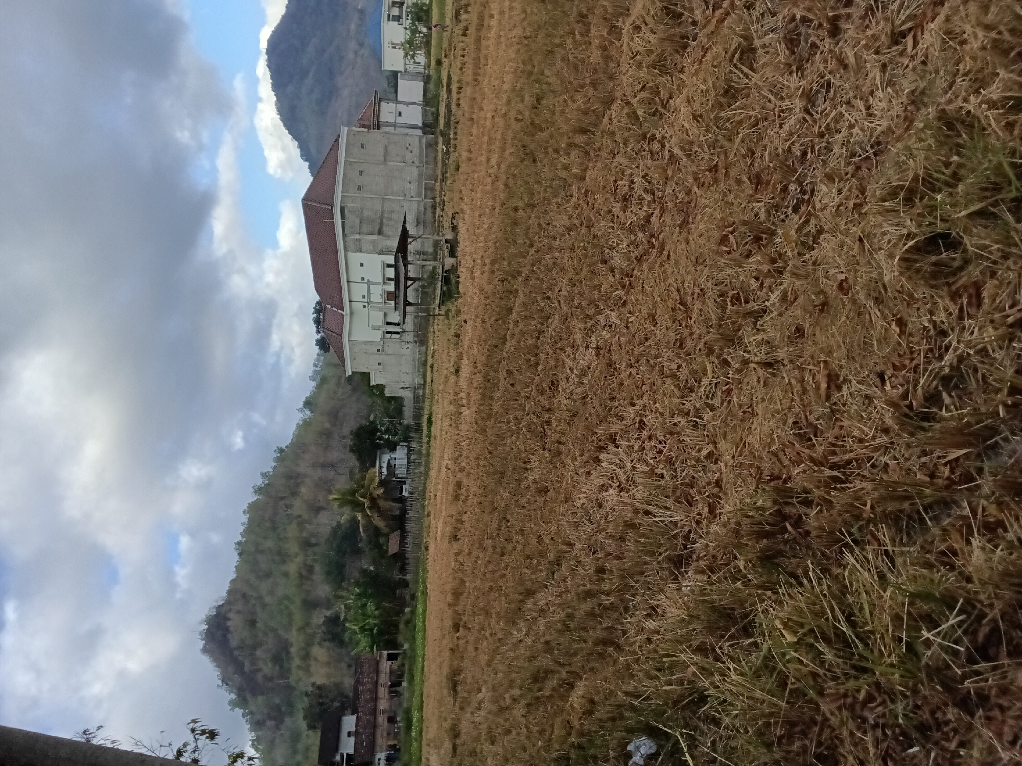 The image shows a harvested rice field in Bendorejo, Indonesia. The field is covered with dried rice stalks, giving it a golden-brown color. In the background, there are several buildings, including a multi-story structure with a red roof, and a smaller, open-sided shelter. Behind the buildings, there are rolling hills covered in green vegetation. The sky is cloudy with some patches of blue. A person is visible in the distance walking on the field.