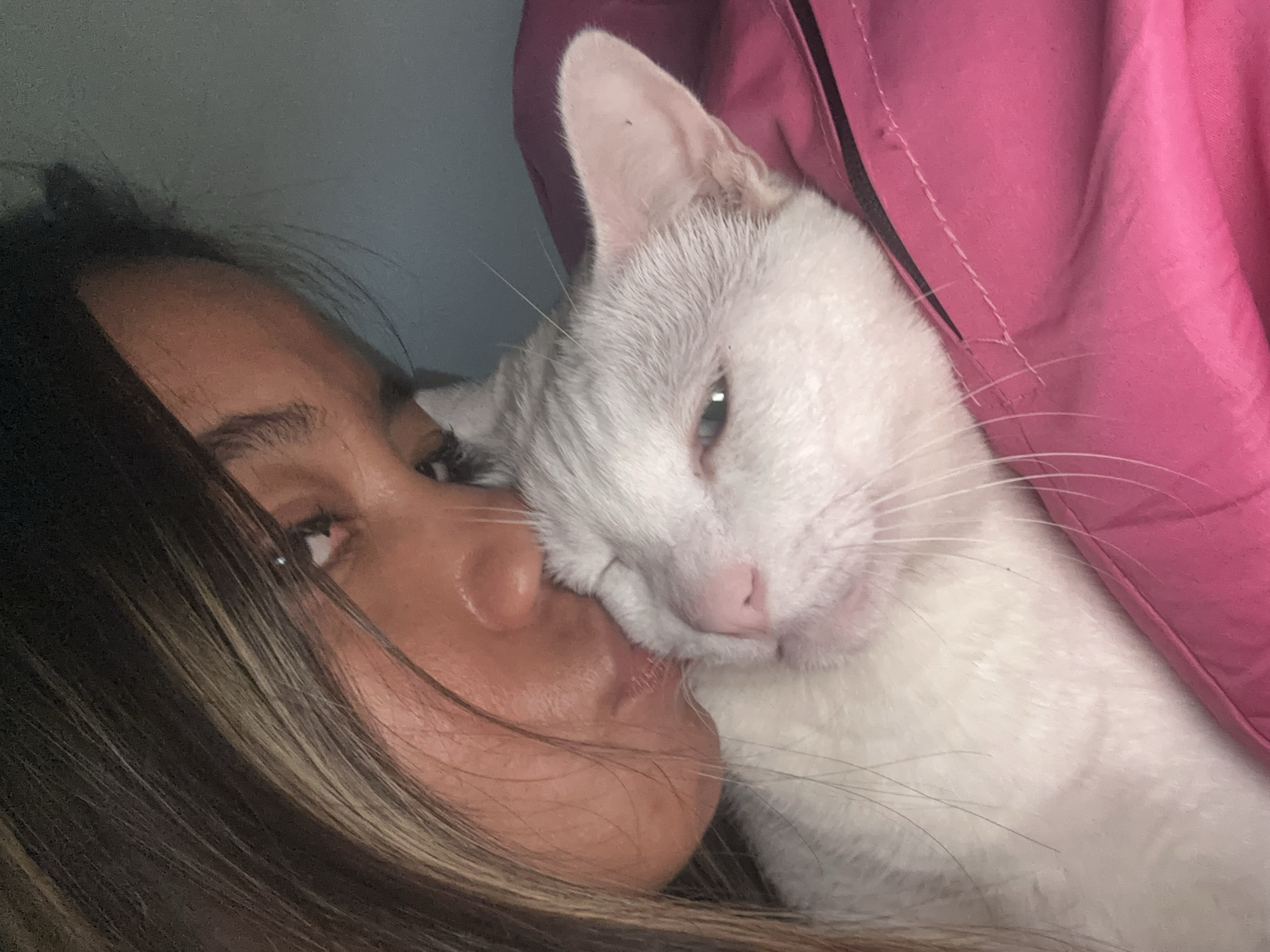 In this close-up, low-angle indoor shot, a person with dark hair is shown from the shoulders up, leaning in to kiss a white cat. The person's face is partially obscured by their hair, but their lips are pressed against the cat's cheek. The cat, with its eyes partially closed, appears relaxed. The cat is resting on a bright pink surface, possibly clothing or bedding. The background is a muted blue-grey color. There are no discernible architectural features or environmental cues to suggest a specific location in Sukawati, Indonesia, or any other city. The lighting appears to be artificial and dim, contributing to the intimate and personal nature of the image.