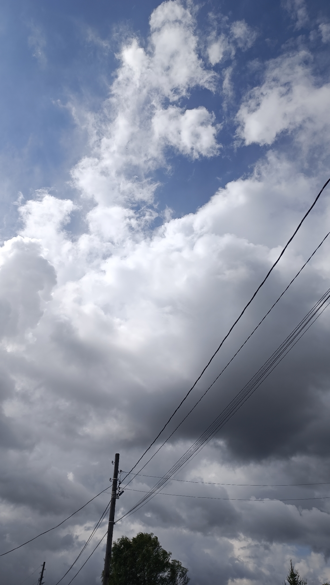 A low-angle shot captures a dramatic sky filled with a mixture of bright white and dark gray clouds. Multiple power lines stretch diagonally across the frame, originating from a utility pole on the left. A dense green tree is visible at the bottom of the image, partially obscuring another, thinner utility pole. The scene is devoid of any human presence. The image was taken in Karsha, Russia.