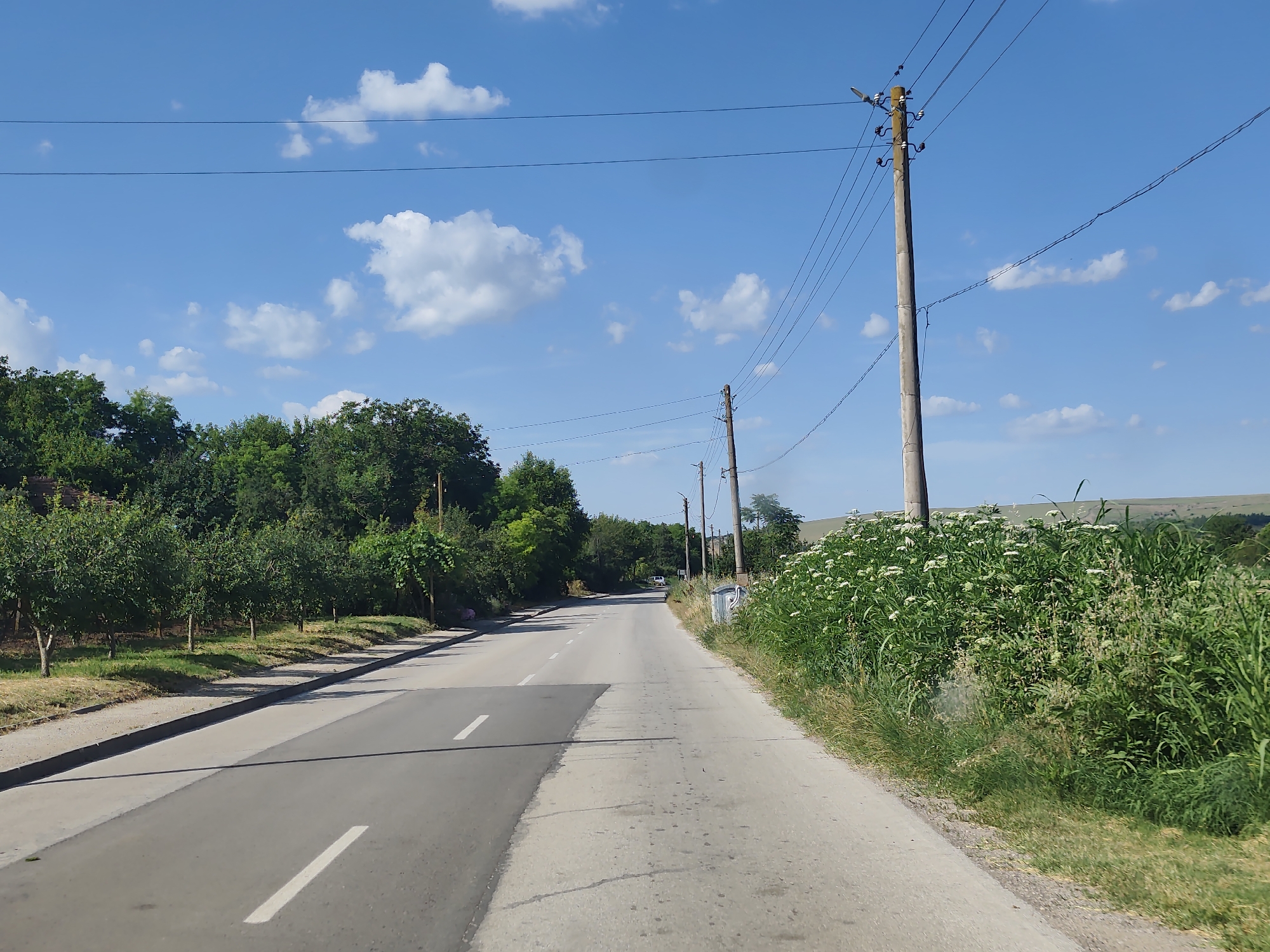 The image shows a rural road in Bozhurluk, Bulgaria, on a sunny day. The road is paved and has white lane markings. On the left side of the road, there is a row of trees and a grassy area. On the right side, there is a dense patch of green vegetation with white flowers, and beyond that, a gently sloping hill. Several utility poles with power lines run along the right side of the road. The sky is blue with scattered white clouds. There are no people visible in the image.