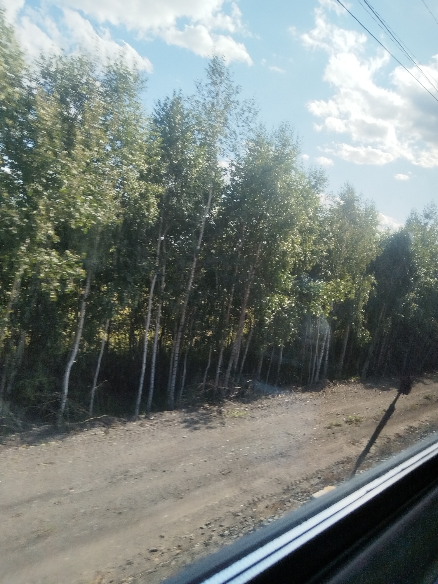 The image depicts a view from inside a vehicle, looking out a window towards a tree line and a dirt road. The trees are predominantly birch trees, characterized by their white bark and deciduous foliage, which appears green and lush, suggesting a summer or early autumn setting. The trees are densely packed, forming a natural boundary along the road. The road itself is unpaved and appears to be a track or path rather than a paved city street, with visible tire tracks. The sky is partly cloudy, with patches of blue sky interspersed with white cumulus clouds. Overhead, electrical wires are visible, indicating the presence of infrastructure. The overall impression is of a natural, somewhat rural landscape, consistent with areas surrounding a town like Ozero-Karachi, Russia, which is known for its natural environment and sanatoriums. There are no people or specific identifiable landmarks that would pinpoint the exact location within Ozero-Karachi. The scene captures a moment of travel through a wooded area with a dirt road.