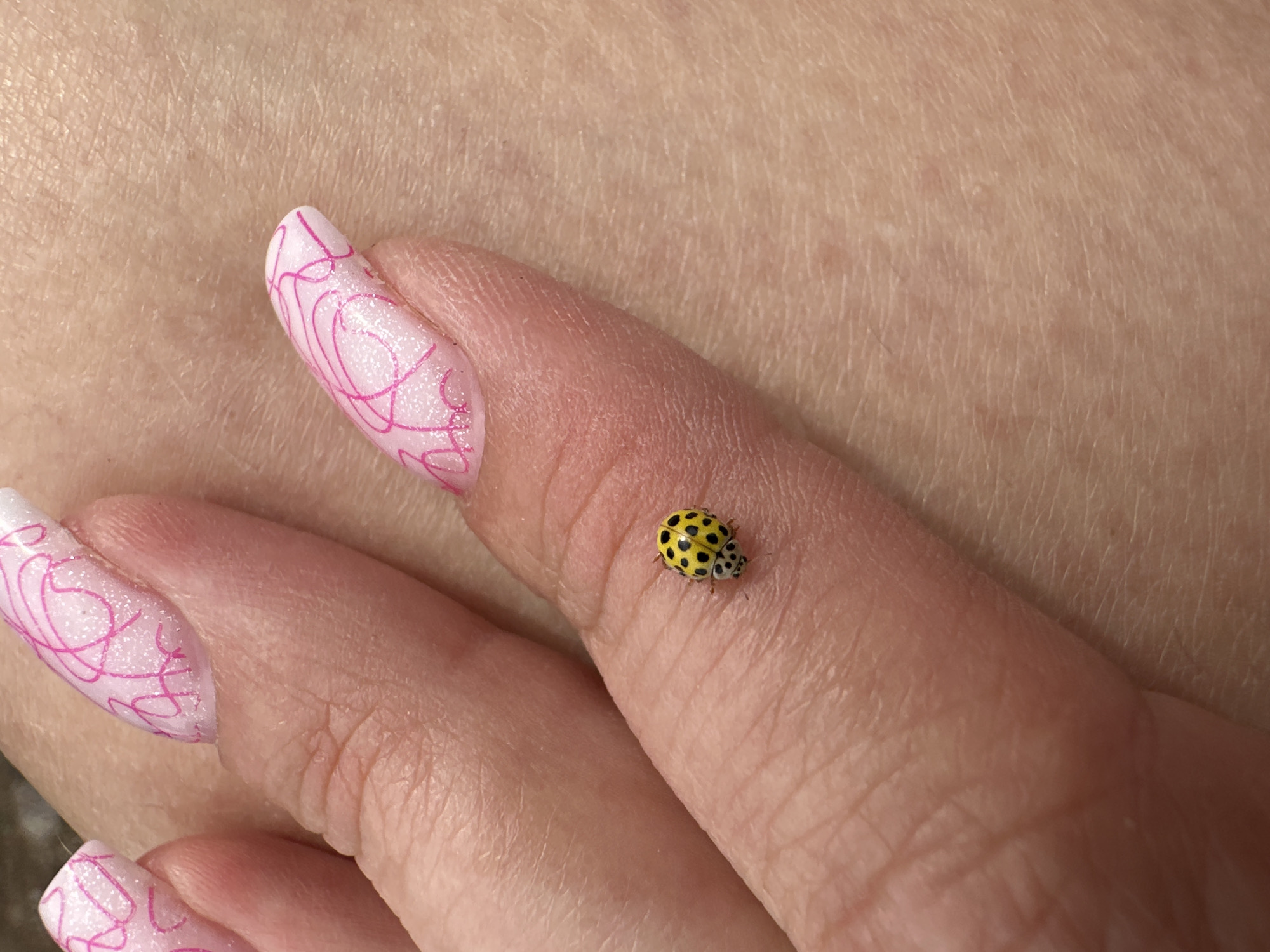 A close-up, high-angle shot focuses on a small, yellow ladybug with black spots resting on a person's finger. The finger is positioned horizontally across the frame, with the ladybug on the upper surface. The skin of the finger shows texture and slight wrinkles. Two fingernails are visible in the upper portion of the image; they are painted with a light pink base and decorated with abstract, swirling pink lines. The background consists of skin texture, suggesting the ladybug is on a person's hand or arm. The location in the city of Жемчужный, Russia, is not discernible from the image itself.