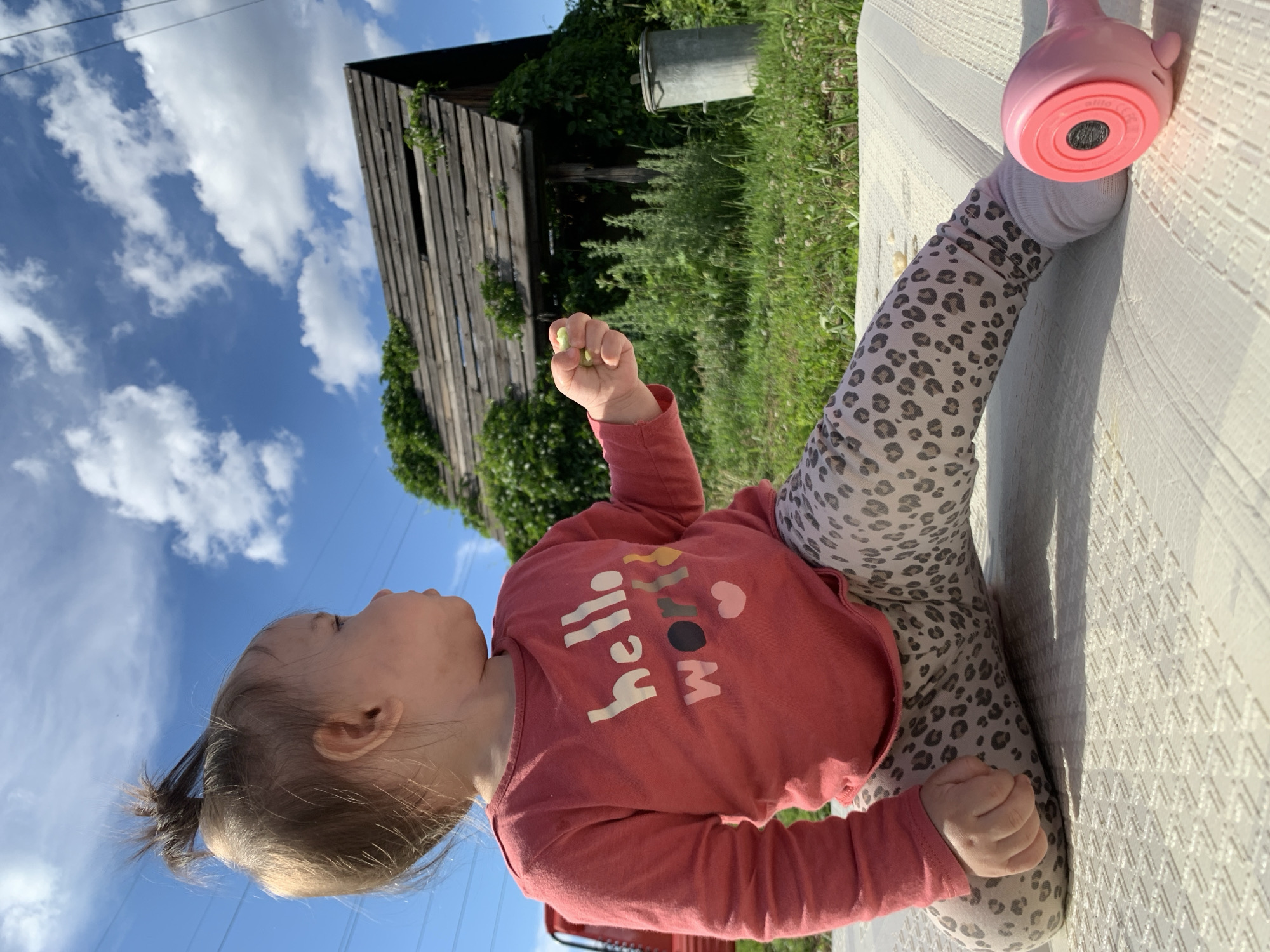 A young child, possibly a toddler, is sitting outdoors on a light-colored mat. The child is facing to the right, with their head turned away from the camera, looking towards the background. They are wearing a long-sleeved pink shirt with the words "hello world" and a heart printed on it, along with leopard-print leggings. In their right hand, the child is holding a small, light-colored object, possibly food. To the right of the child, a pink object with a circular indentation is visible on the mat.
The background features a grassy area with some greenery and what appears to be an old, dilapidated wooden structure, possibly a shed or a small building, overgrown with vines. A grey metal trash can is situated behind the structure. The sky above is blue with scattered white clouds, and power lines are visible in the upper left portion of the image. The overall setting suggests an outdoor, possibly rural or semi-rural environment.
The location is identified as the city of Chaikovsky, Russia. The scene is lit by natural daylight, casting shadows and highlighting the textures of the subjects and their surroundings.