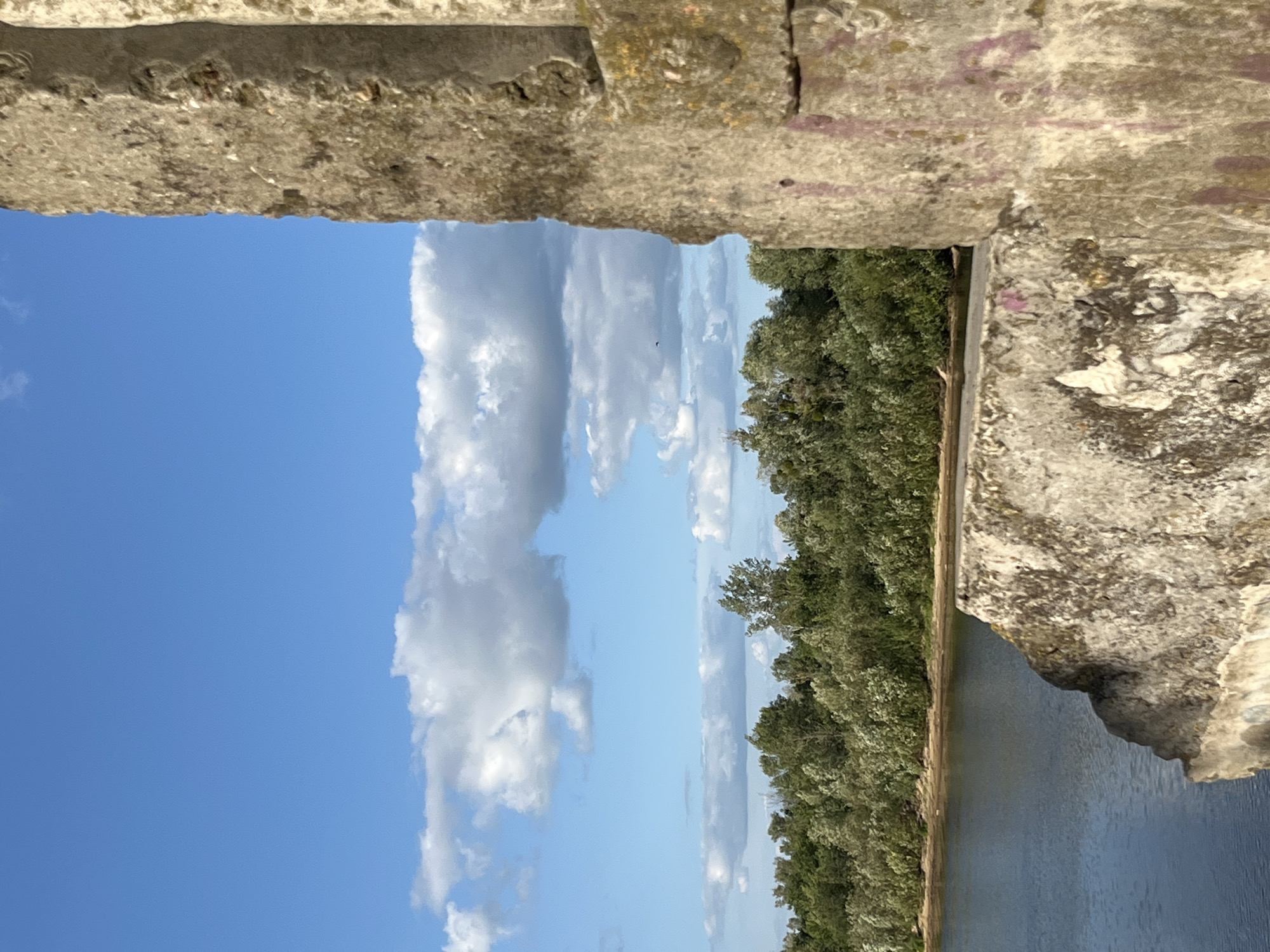 The image depicts a close-up view of a rough, textured concrete structure in the foreground, partially obscuring a scenic natural landscape. The concrete appears weathered, with some signs of wear and discoloration, including what looks like faint purple graffiti on the right-hand side.
Behind the concrete, a tranquil body of water, likely a river or lake, stretches horizontally across the mid-ground. The water's surface is calm, reflecting the light blue sky and scattered white clouds above.
Beyond the water lies a lush, dense line of trees and vegetation that forms the background. The foliage is predominantly green, with some lighter-colored patches that could be flowering plants or lighter-hued leaves, suggesting a vibrant, natural environment. The sky is a clear blue, populated by a few fluffy white clouds, some larger and more defined, others wispy. A small dark shape, possibly a bird, is visible in the sky in the upper right quadrant.
The overall scene suggests a serene outdoor setting, with the juxtaposition of the man-made concrete element against the natural beauty of the water, vegetation, and sky.