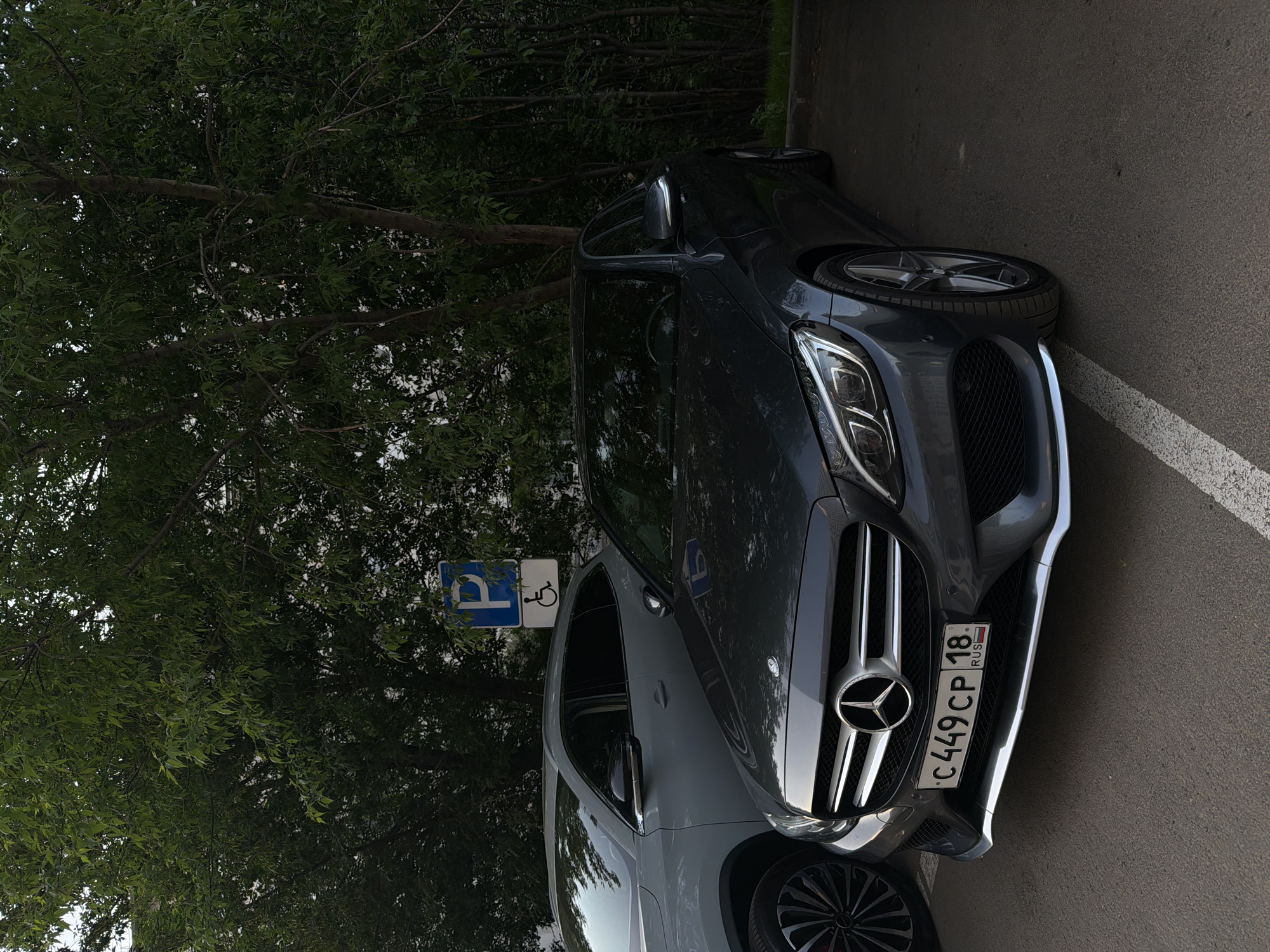 A gray Mercedes-Benz car is parked in a designated handicap parking space. The parking space is indicated by a blue and white sign with the symbol for a wheelchair. The car's license plate reads "C 449 CP 18," with "RUS" visible, indicating the vehicle is registered in Russia. The car is parked on an asphalt surface with a white painted line marking the edge of the parking space. The area is adjacent to a densely foliaged tree. The license plate indicates that this image was taken in Izhevsk, Russia, where the "18" region code is used for vehicle registration.